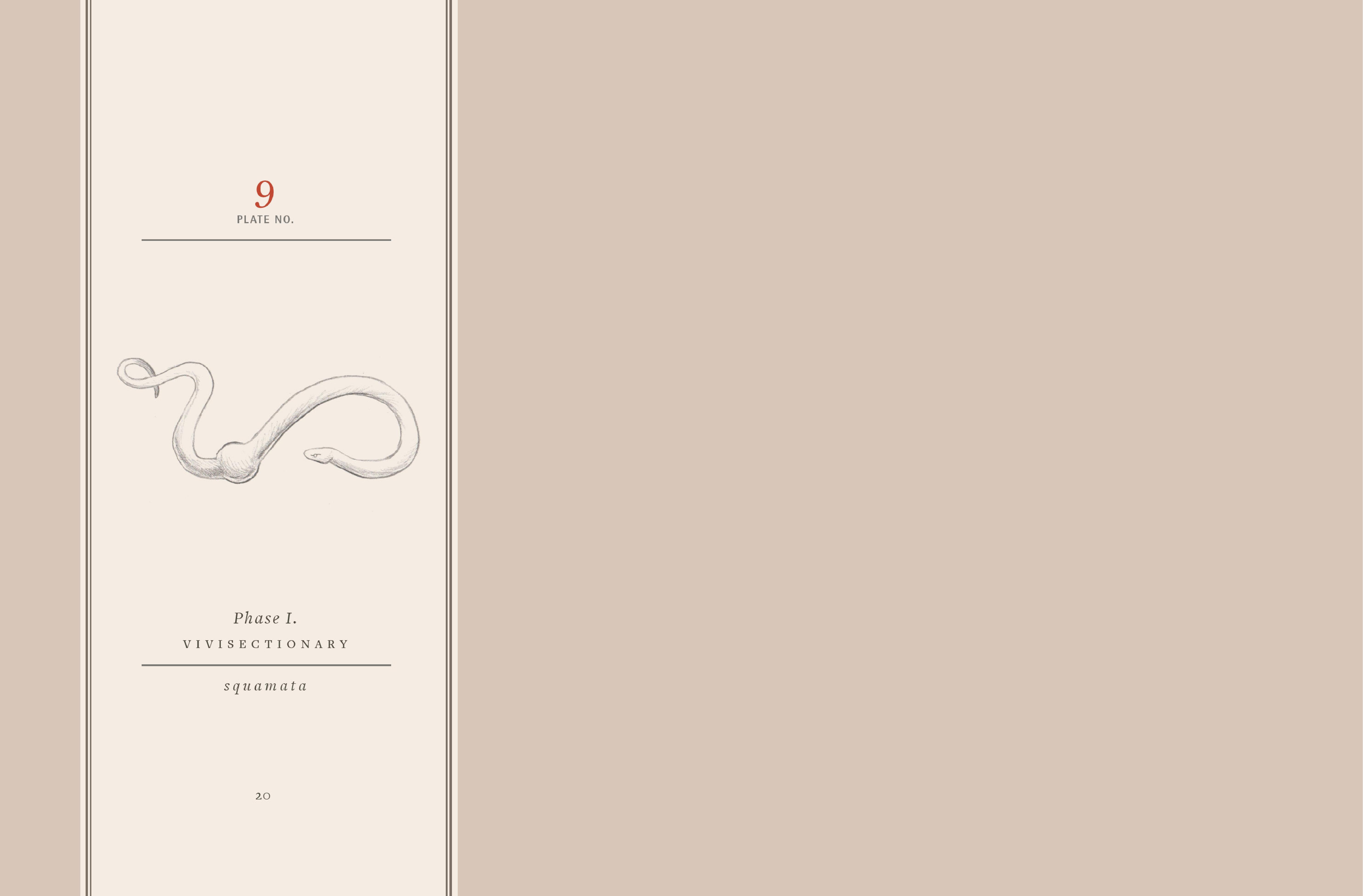 Read online Vivisectionary comic -  Issue # TPB - 21