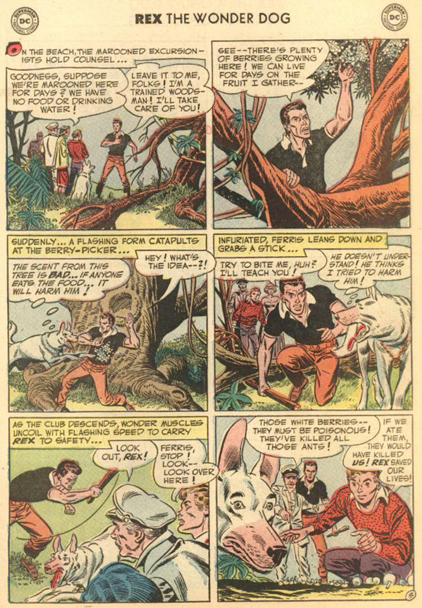 Read online The Adventures of Rex the Wonder Dog comic -  Issue #4 - 27