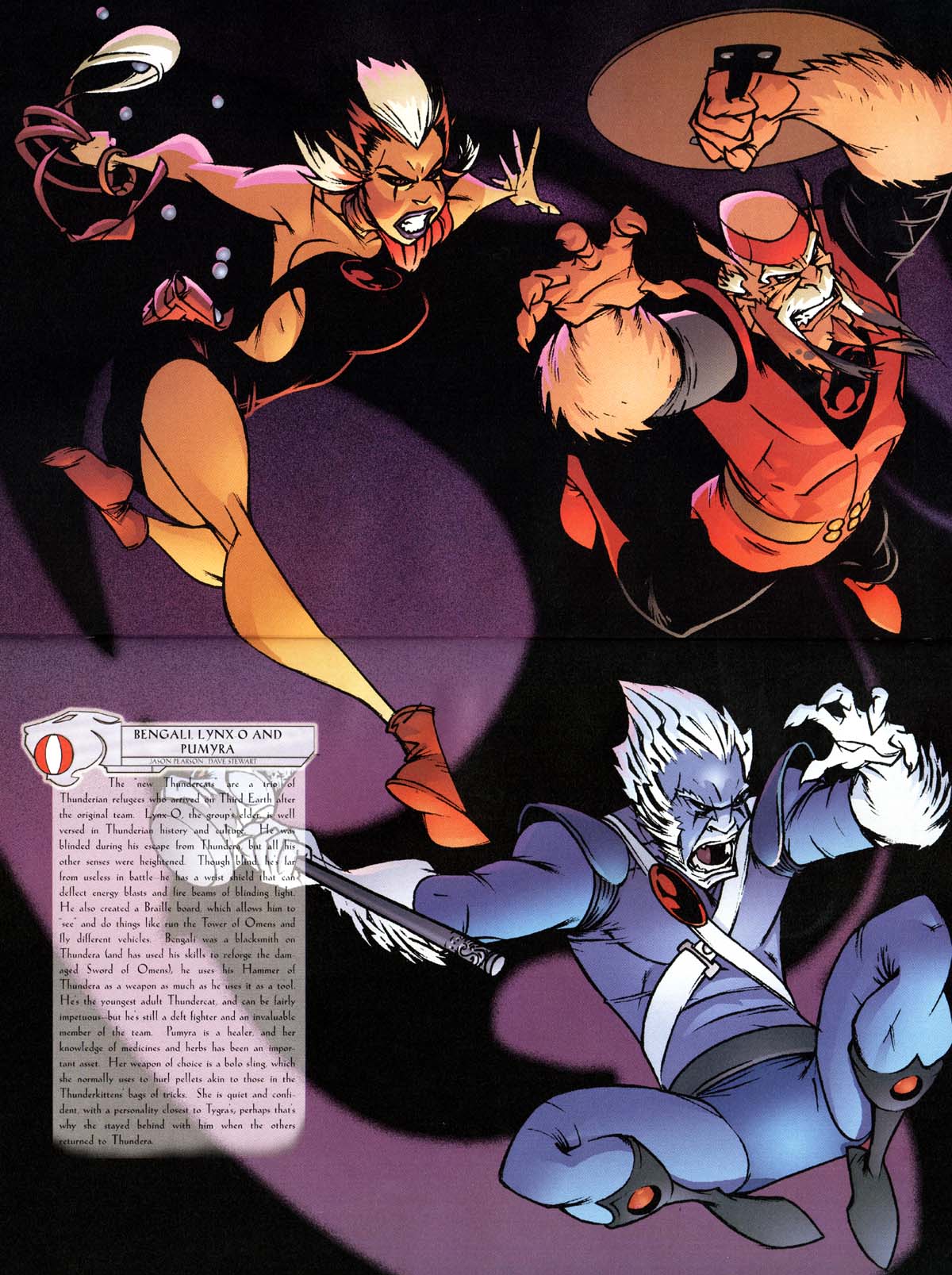 Read online ThunderCats Sourcebook comic -  Issue # Full - 21