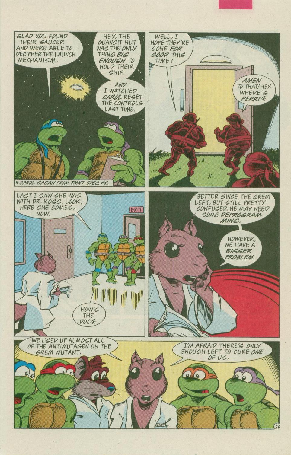 Read online Teenage Mutant Ninja Turtles Adventures (1989) comic -  Issue # _Special 11 - 25