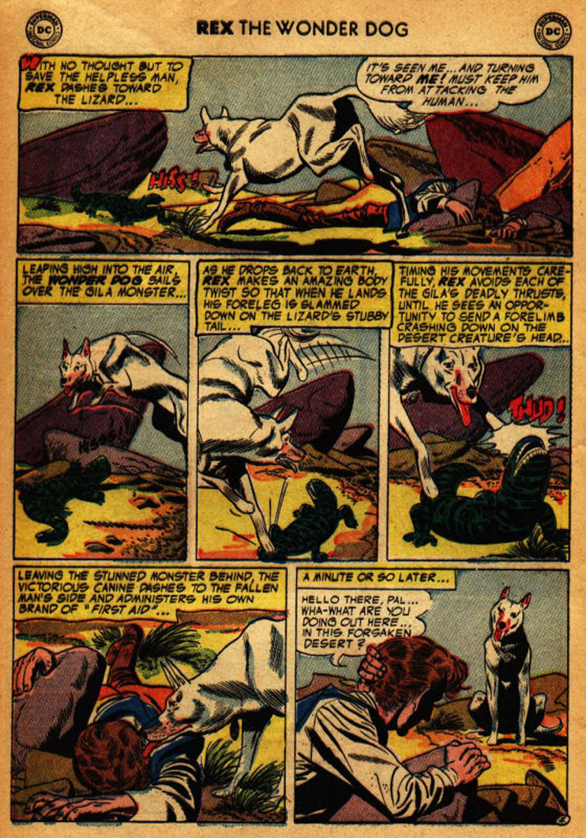 Read online The Adventures of Rex the Wonder Dog comic -  Issue #17 - 28