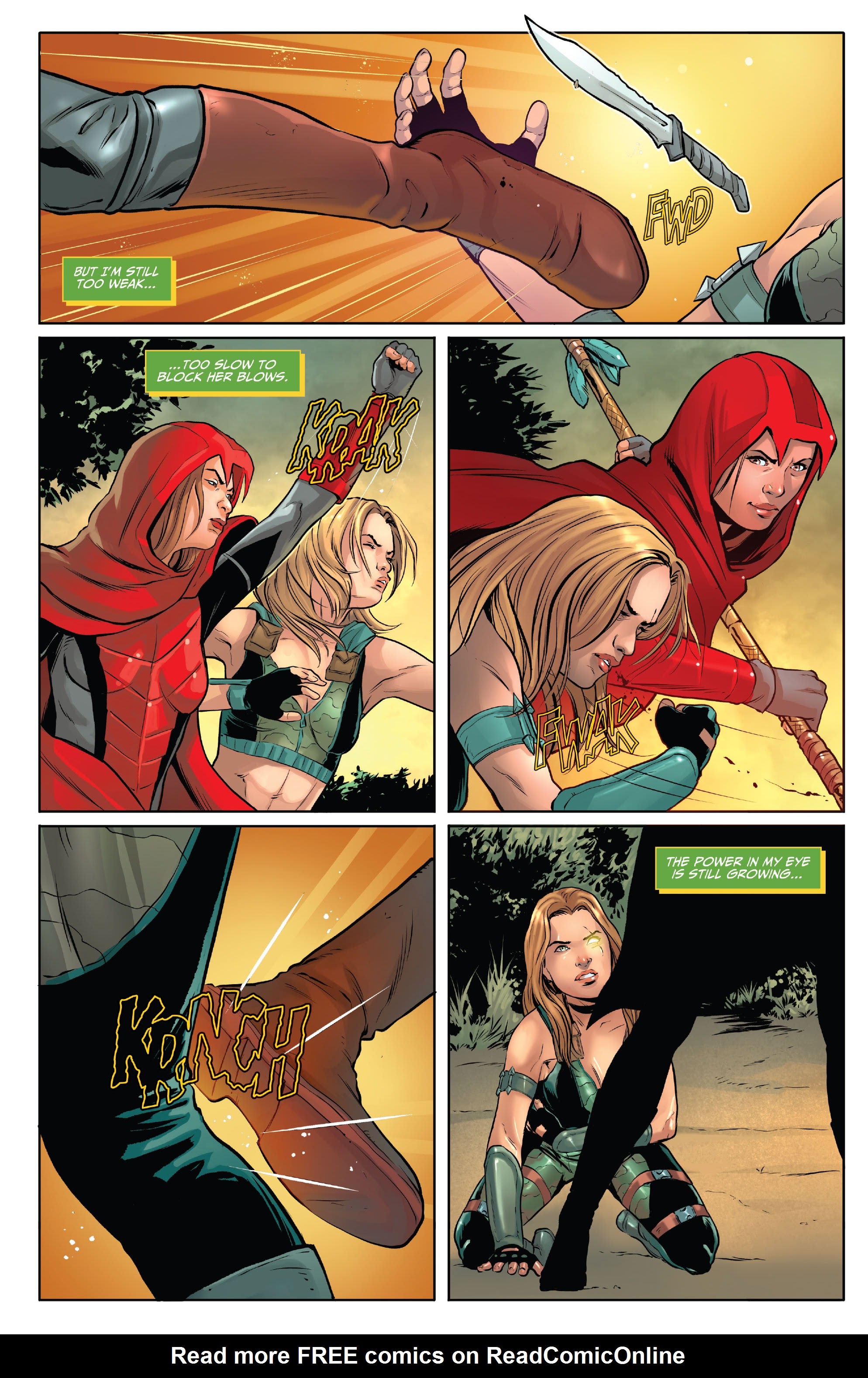 Read online Robyn Hood: Night of the Hunter comic -  Issue # Full - 24