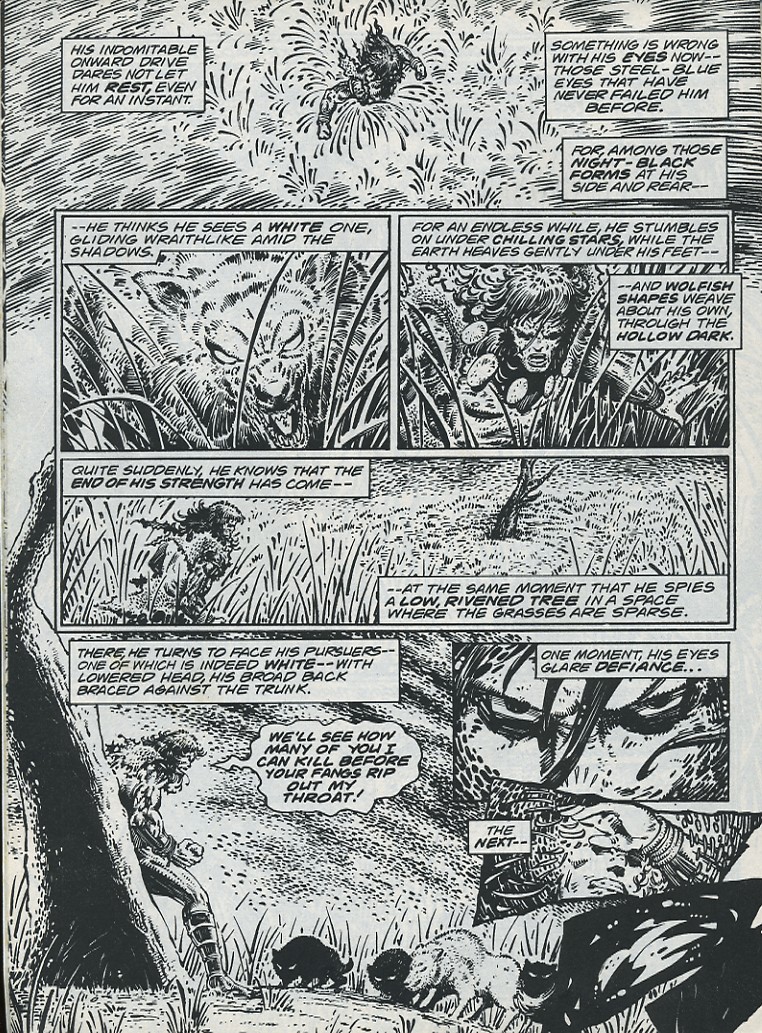 The Savage Sword Of Conan issue 221 - Page 12
