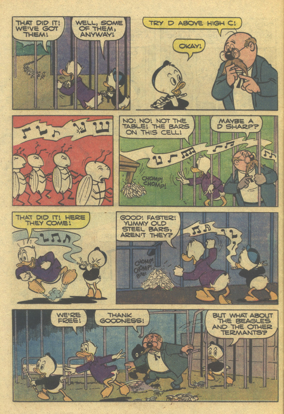 Read online Walt Disney's Donald Duck (1952) comic -  Issue #243 - 12