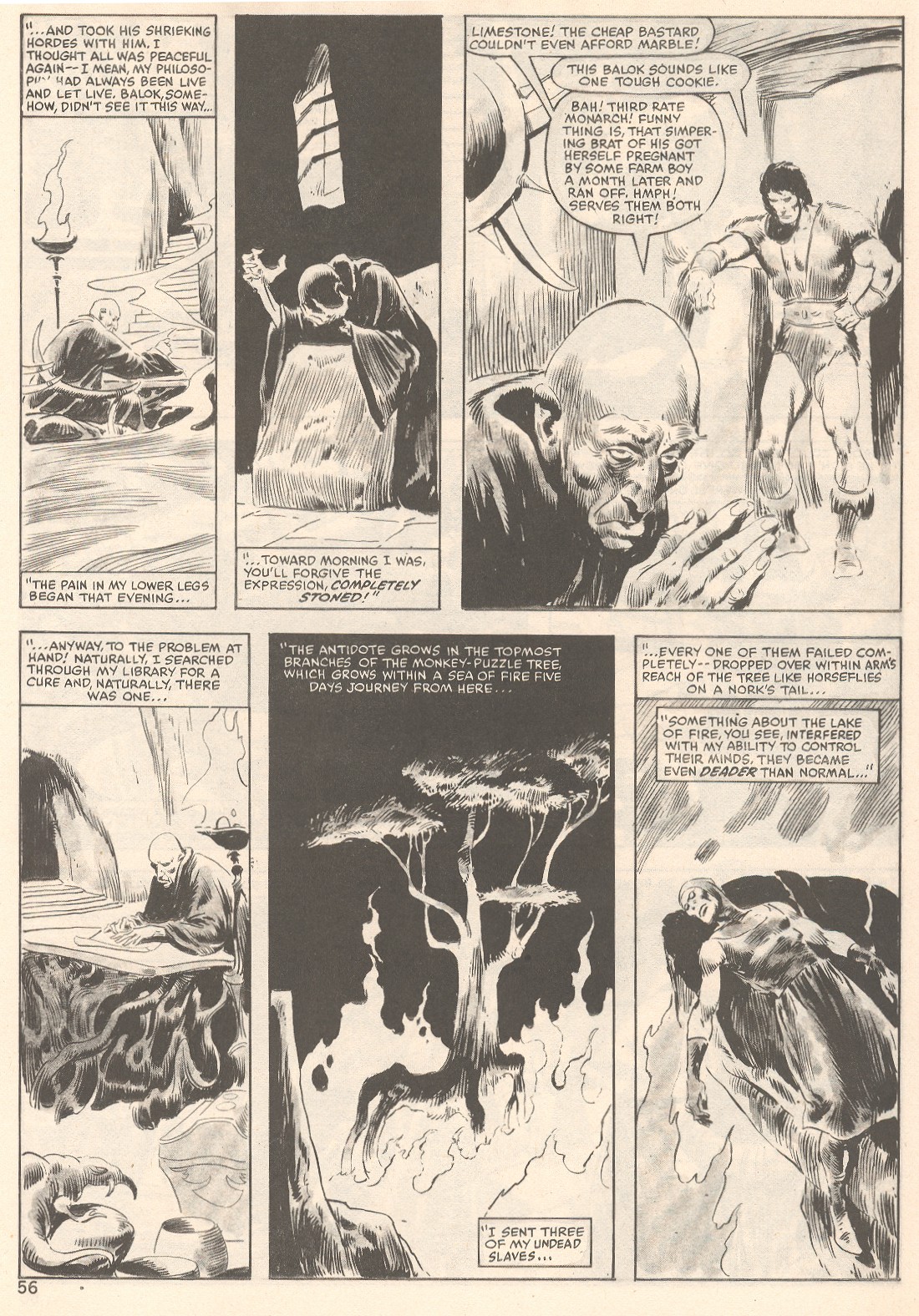The Savage Sword Of Conan issue 80 - Page 56