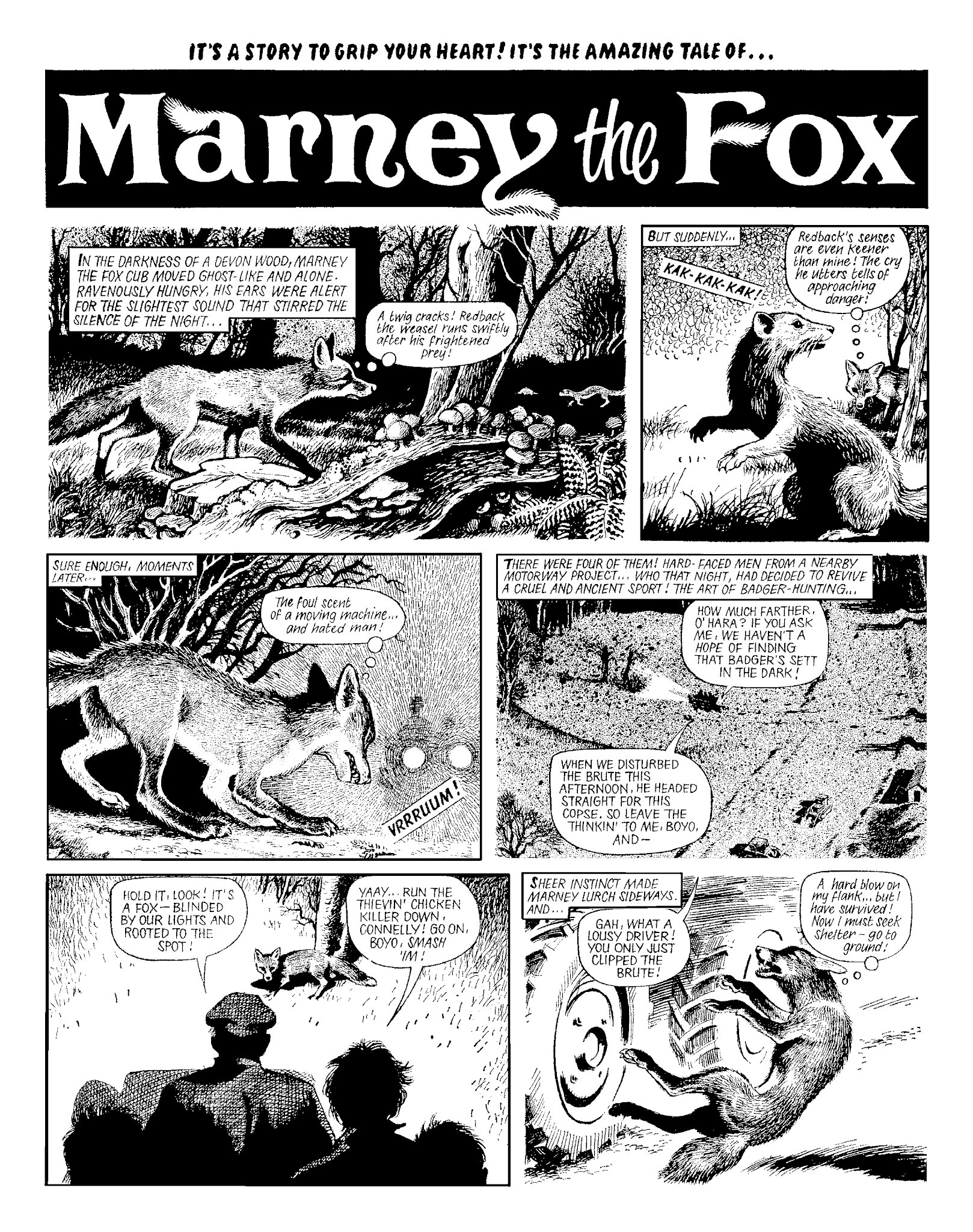 Read online Marney the Fox comic -  Issue # TPB (Part 2) - 64