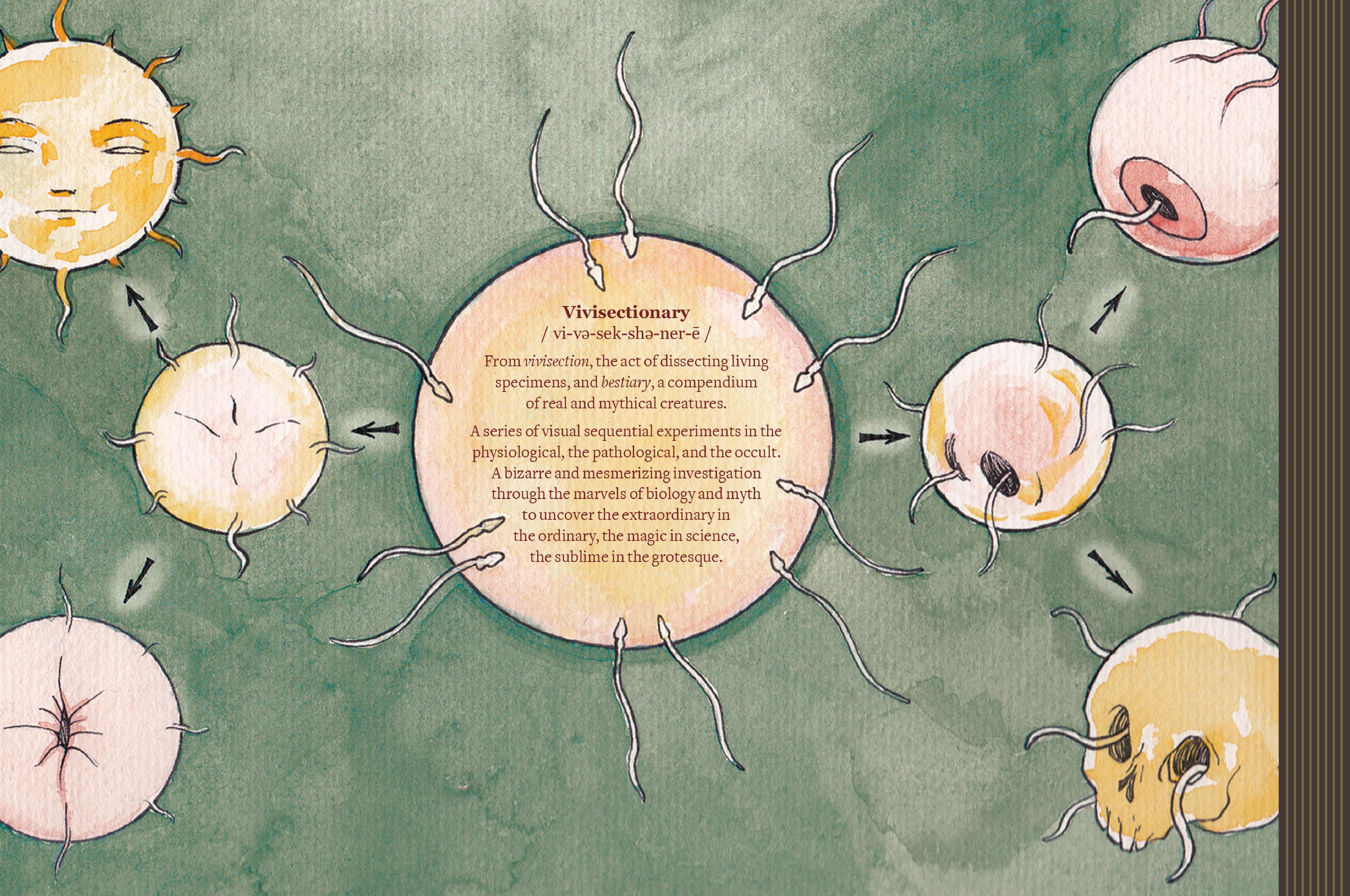 Read online Vivisectionary comic -  Issue # TPB - 138