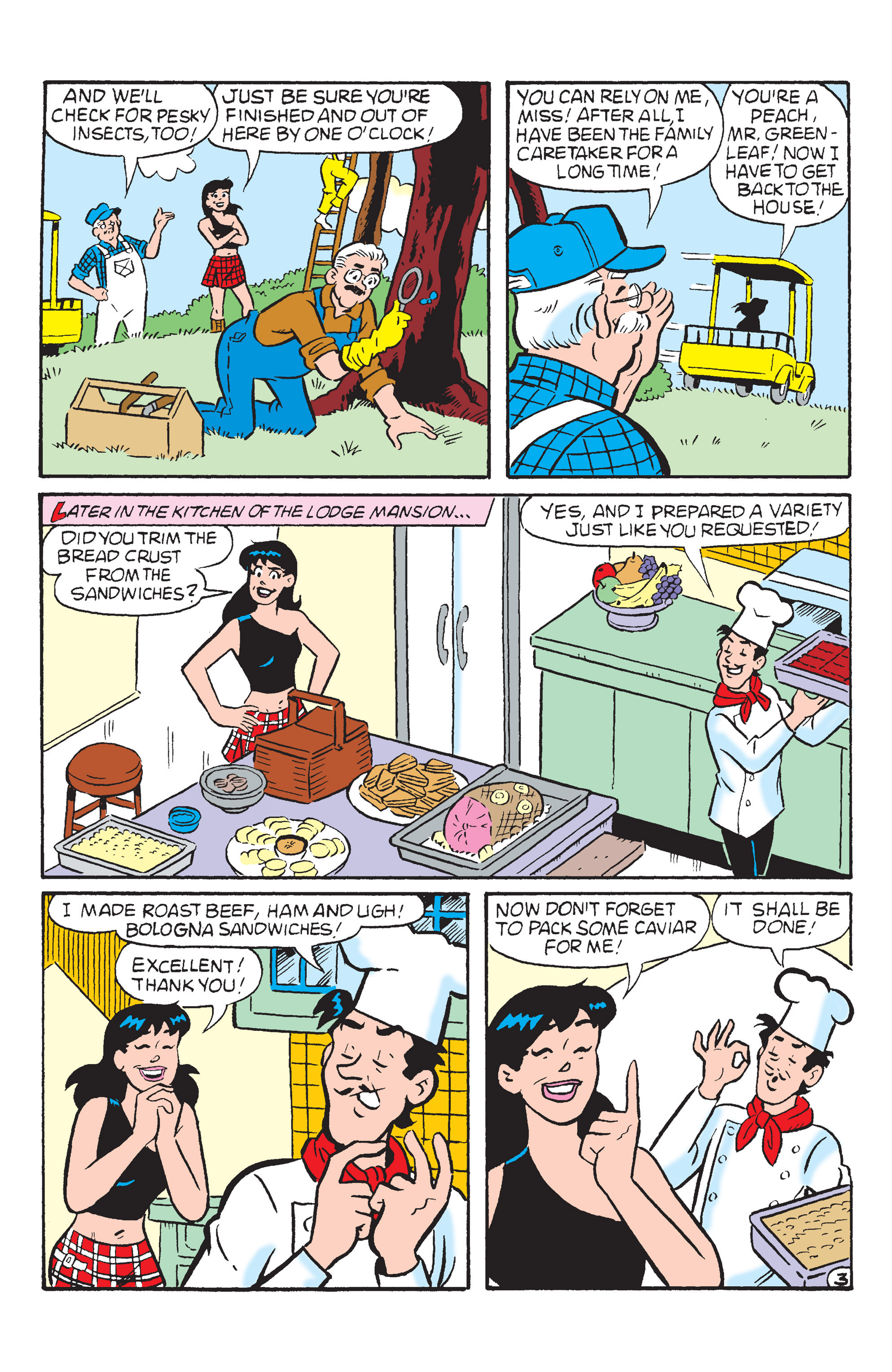 Read online Betty and Veronica: Picnic Antics comic -  Issue # TPB - 39