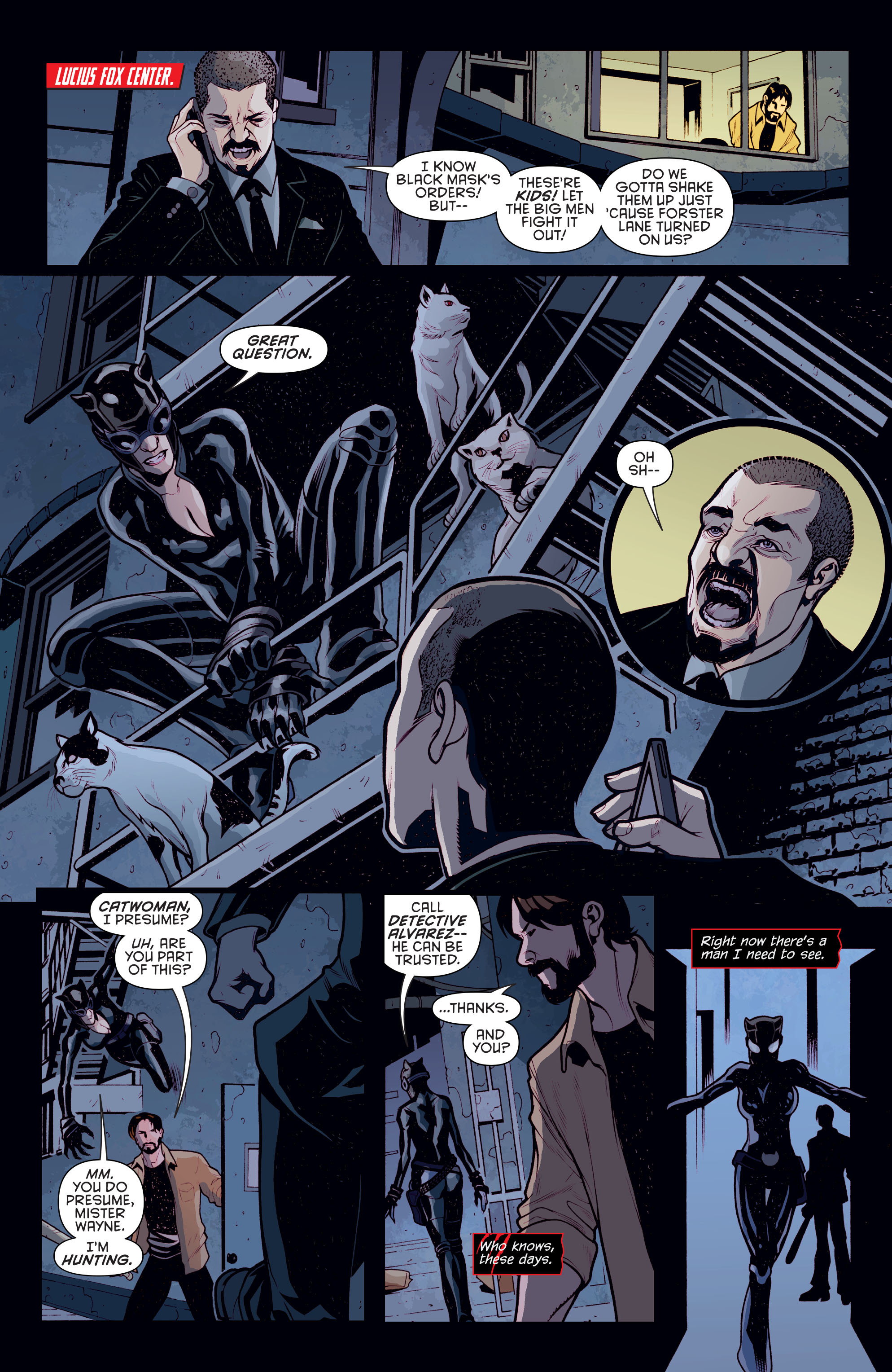 Read online Catwoman (2011) comic -  Issue #45 - 12