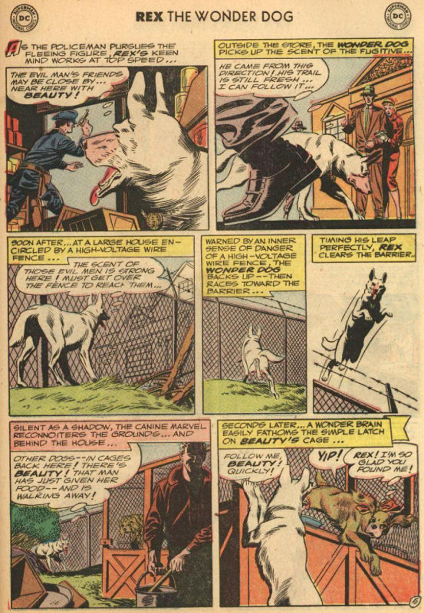 Read online The Adventures of Rex the Wonder Dog comic -  Issue #5 - 29