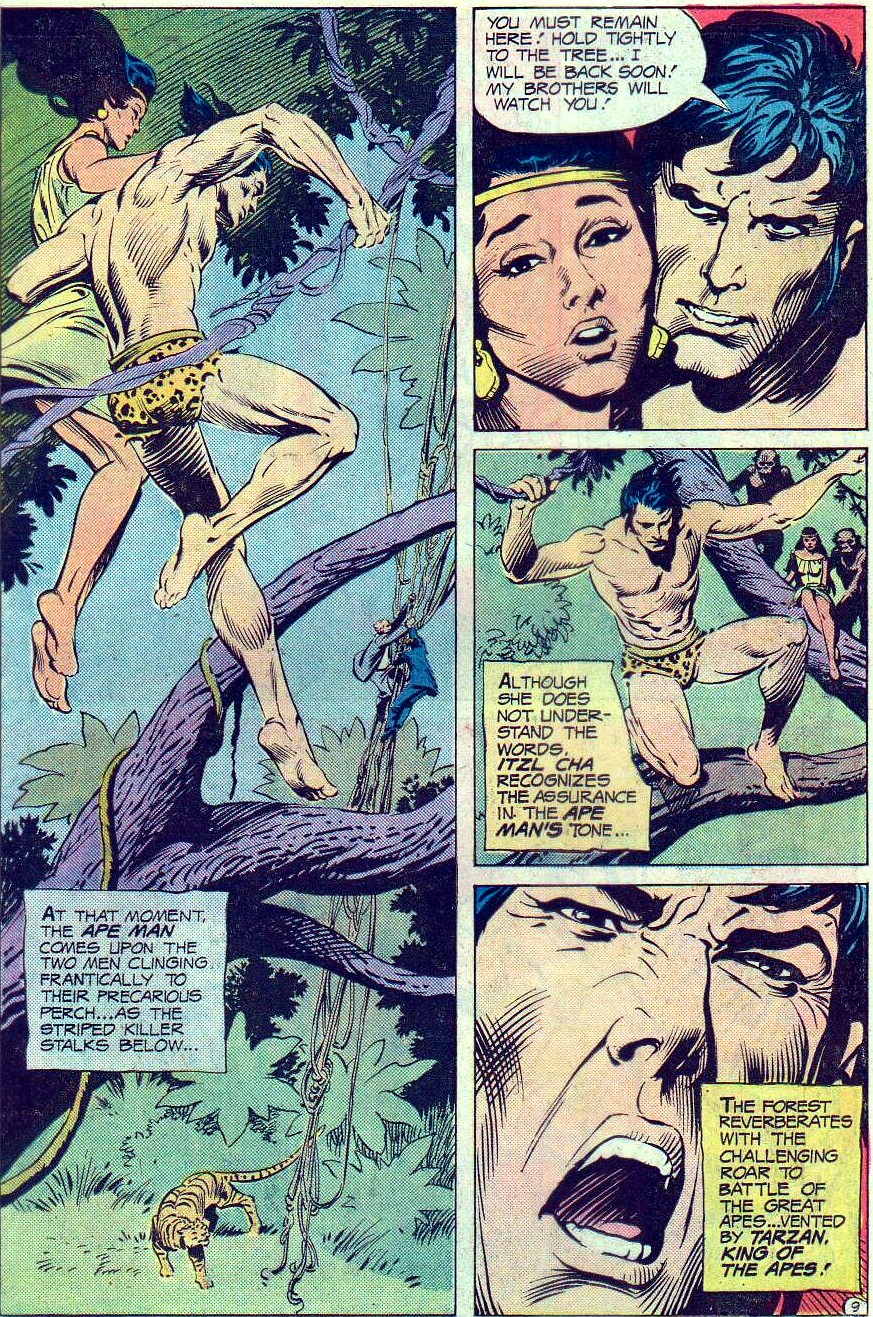 Read online Tarzan (1972) comic -  Issue #242 - 10