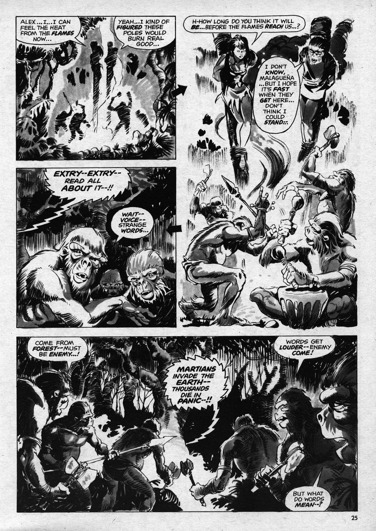 Read online Planet of the Apes comic -  Issue #13 - 25