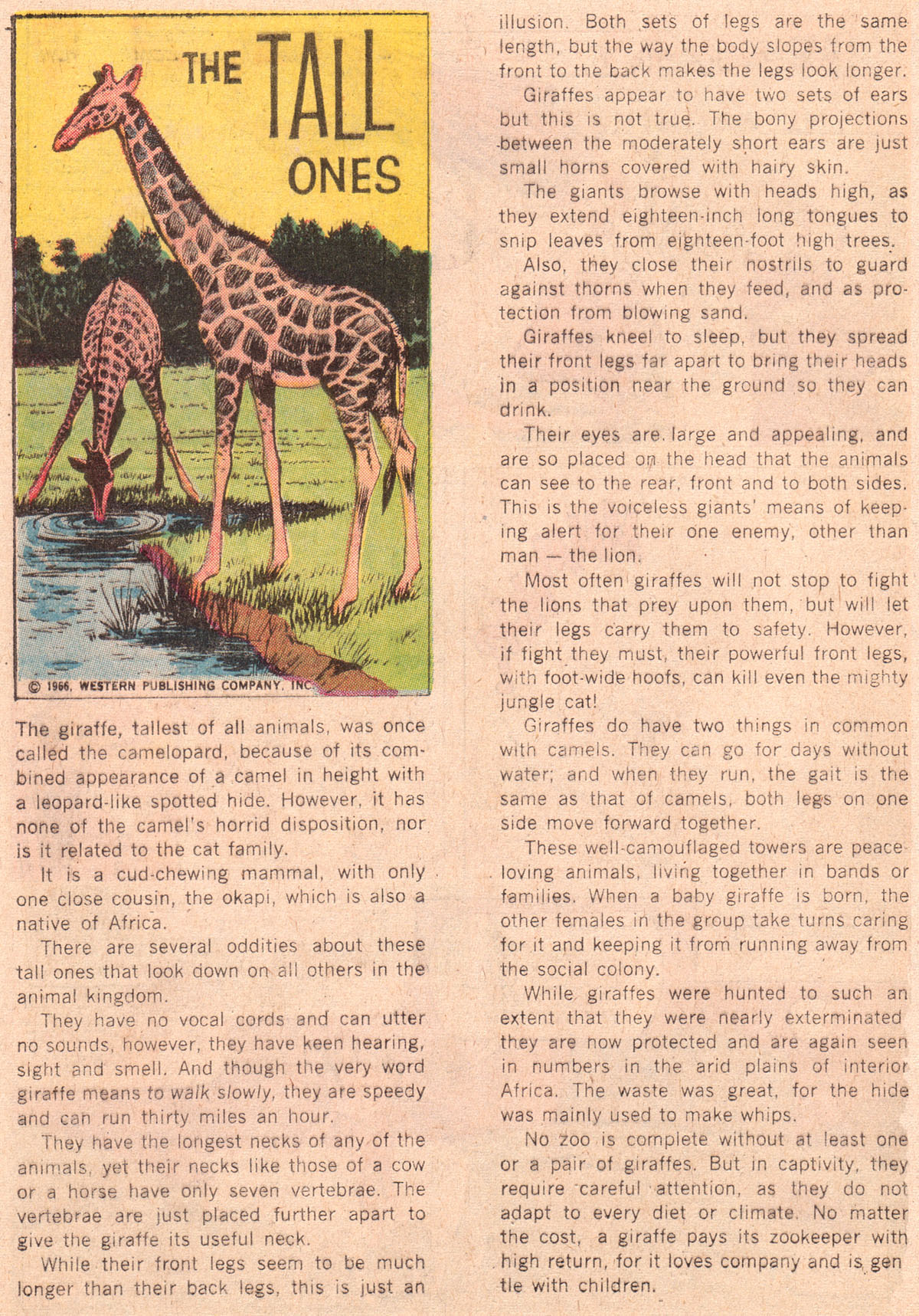Read online Korak, Son of Tarzan (1964) comic -  Issue #37 - 28