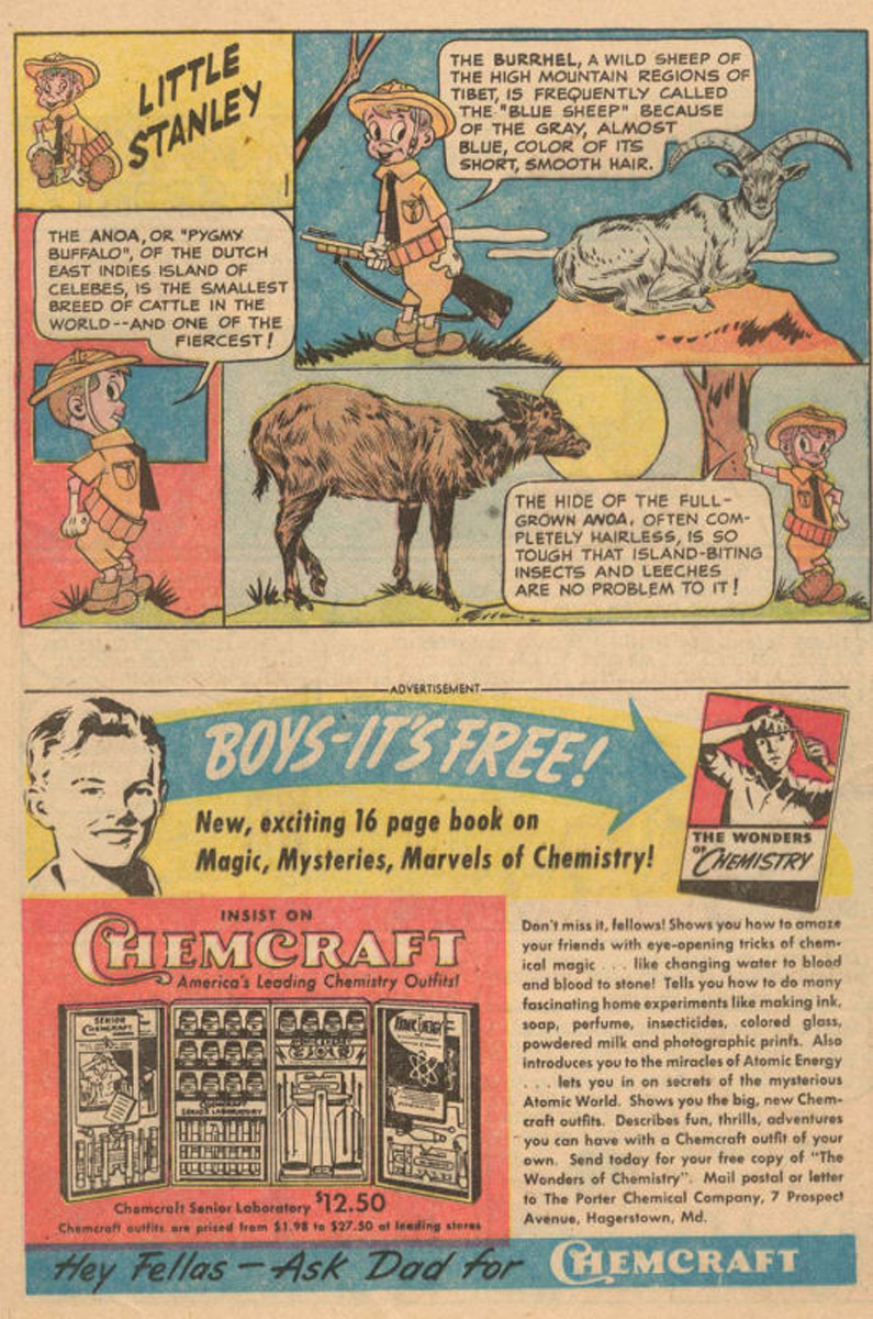 Read online The Adventures of Rex the Wonder Dog comic -  Issue #7 - 21