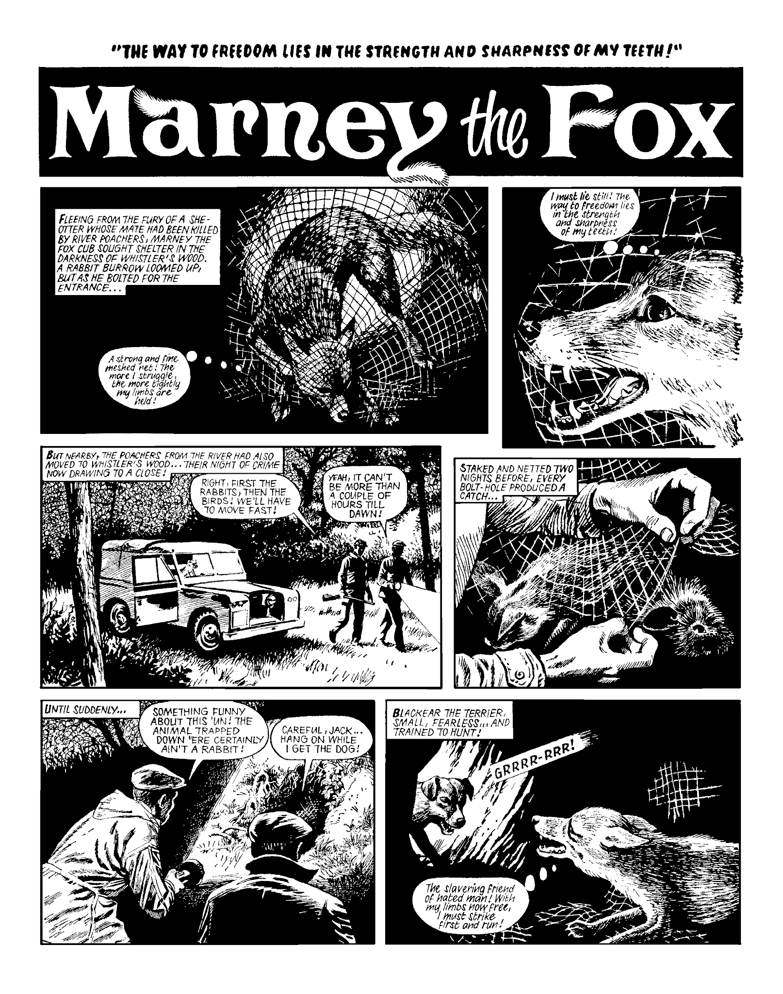 Read online Marney the Fox comic -  Issue # TPB (Part 2) - 58