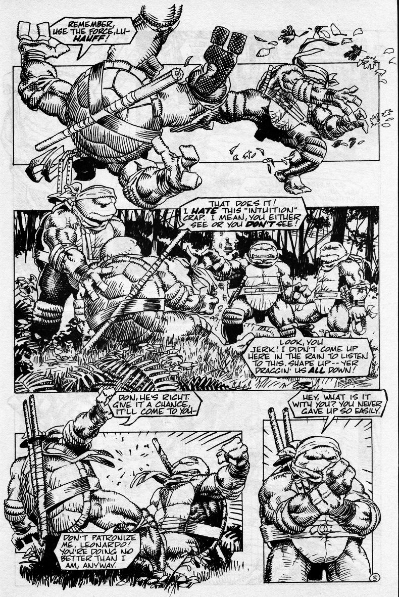 Read online Teenage Mutant Ninja Turtles (1984) comic -  Issue #43 - 5