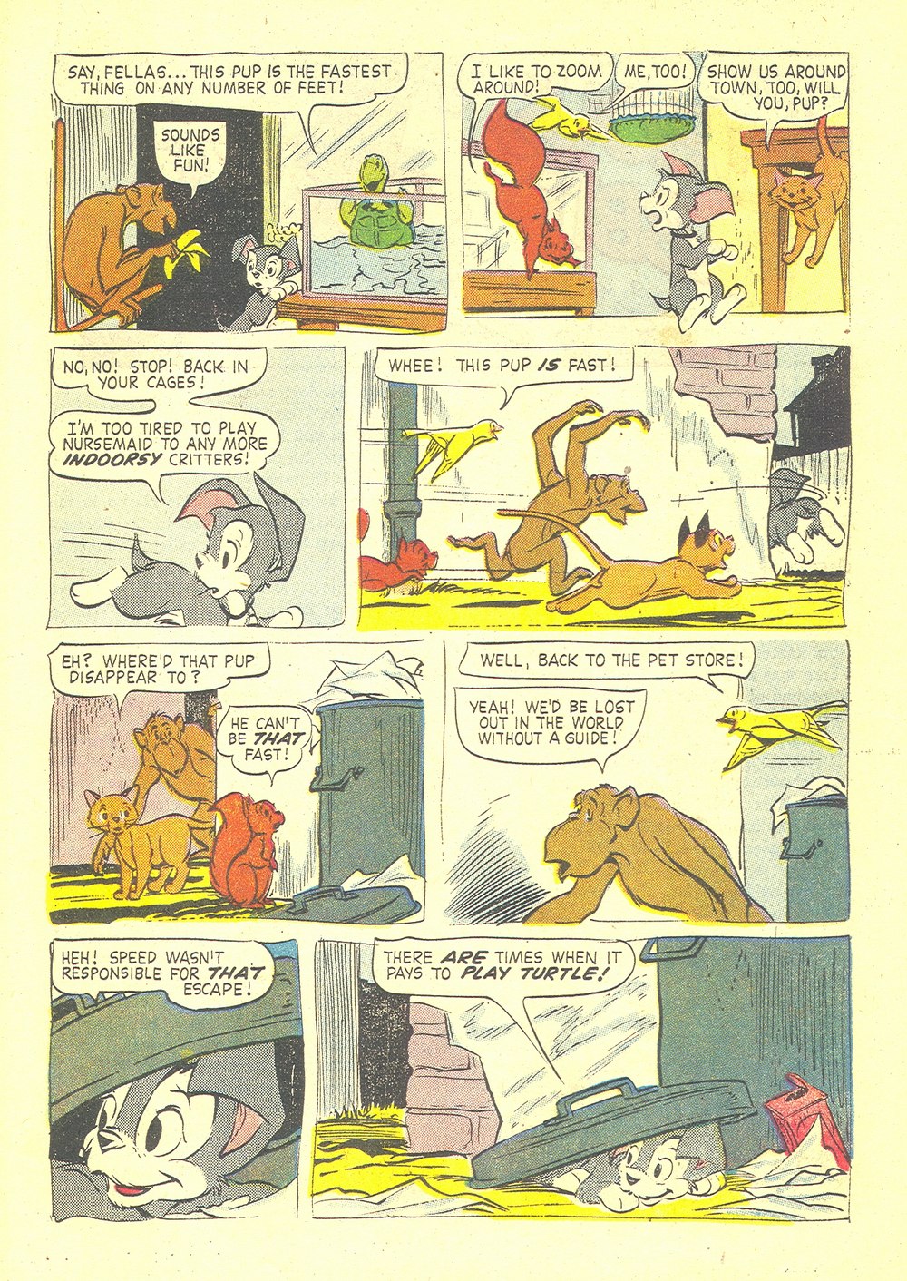 Read online Scamp (1958) comic -  Issue #7 - 23