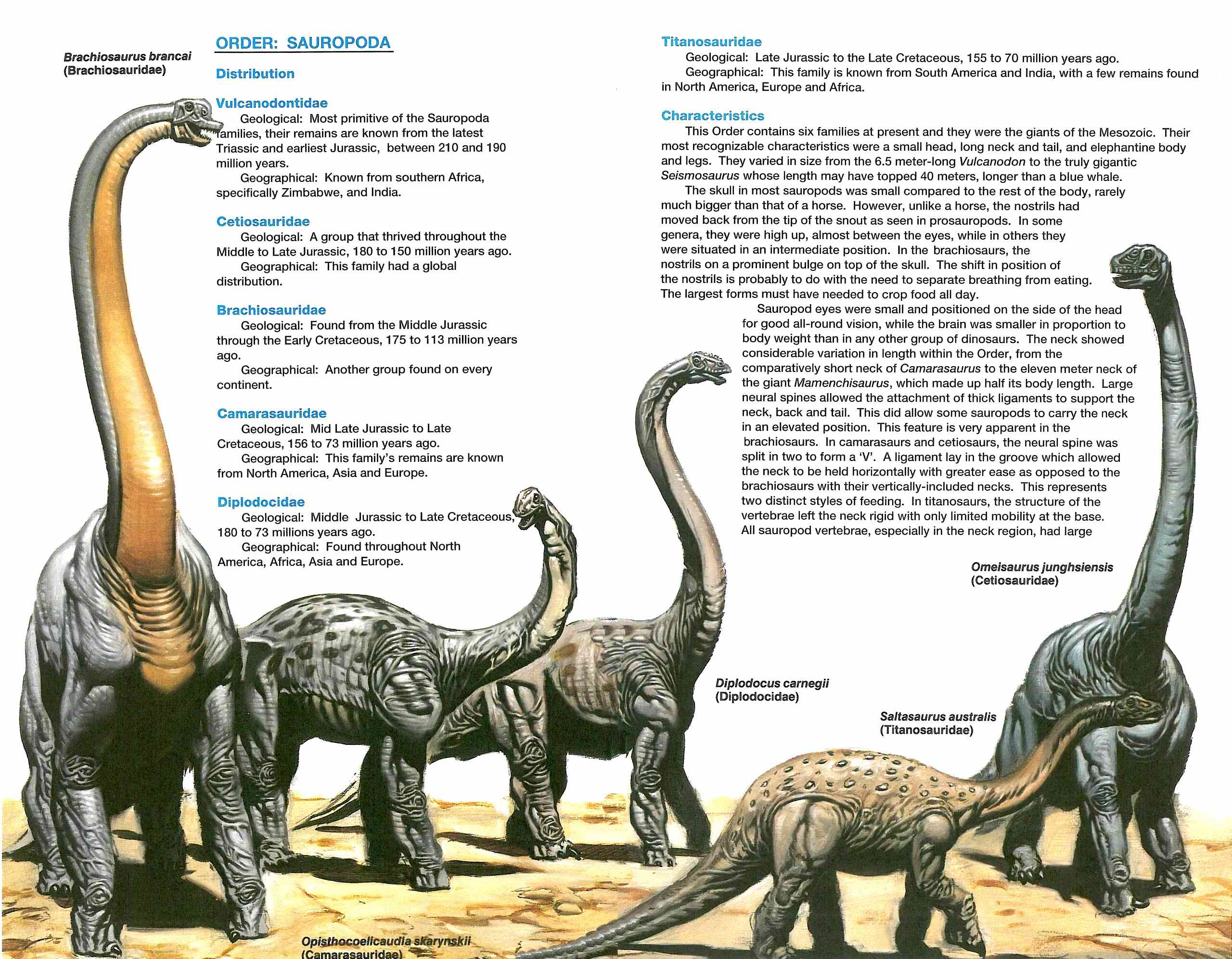 Read online Dinosaurs, A Celebration comic -  Issue #2 - 28