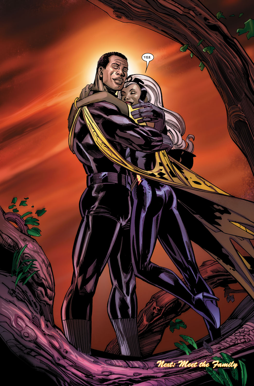 Read online Black Panther (2005) comic -  Issue #15 - 23