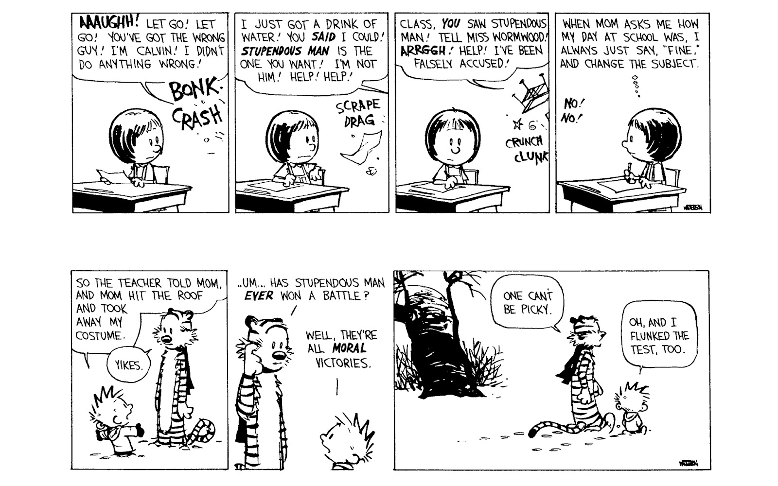 Calvin and Hobbes issue 9 - Page 71