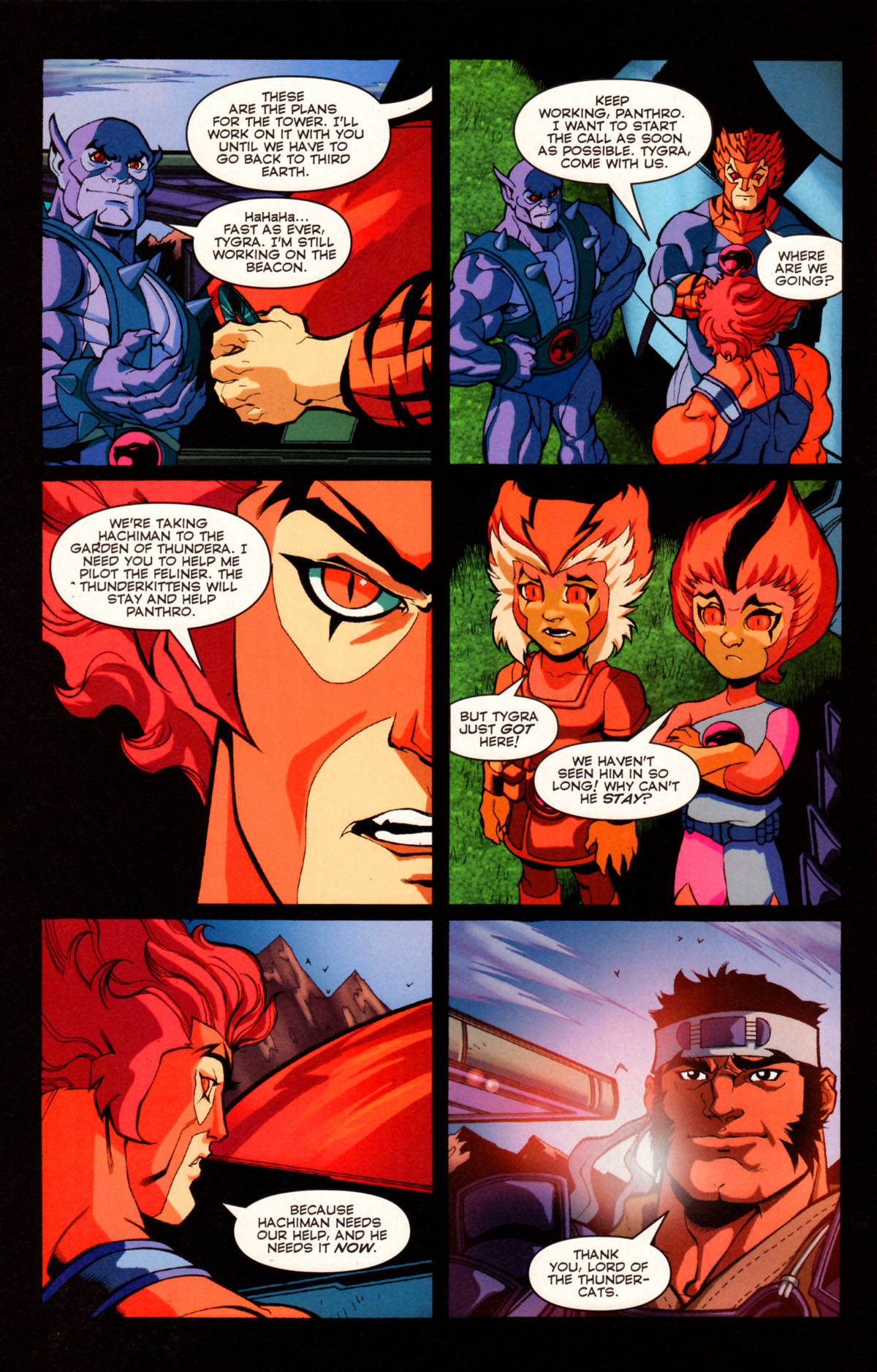 Read online ThunderCats (2002) comic -  Issue #2 - 9
