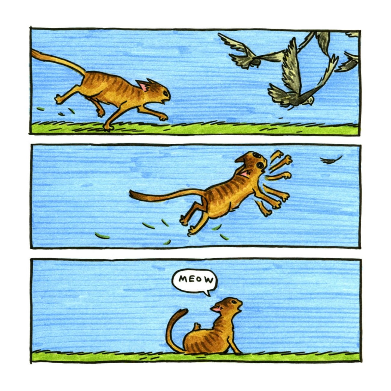 Read online Cats are Weird and More Observations comic -  Issue # TPB - 16