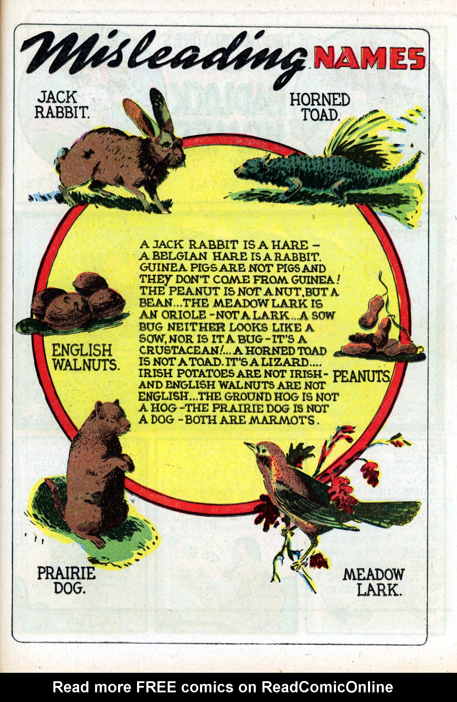 Read online Champ Comics comic -  Issue #24 - 43