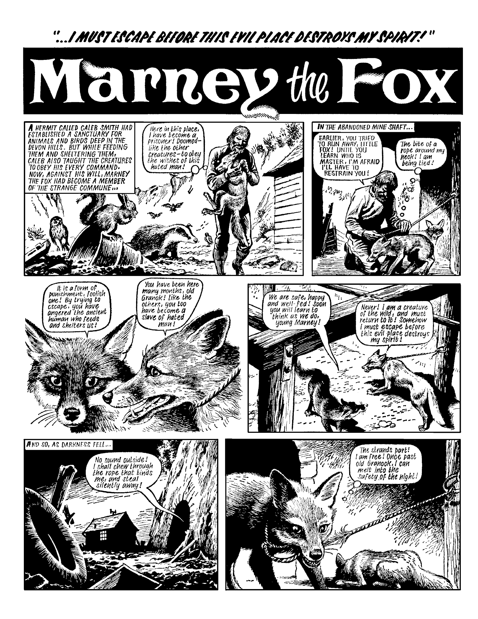 Read online Marney the Fox comic -  Issue # TPB (Part 2) - 108