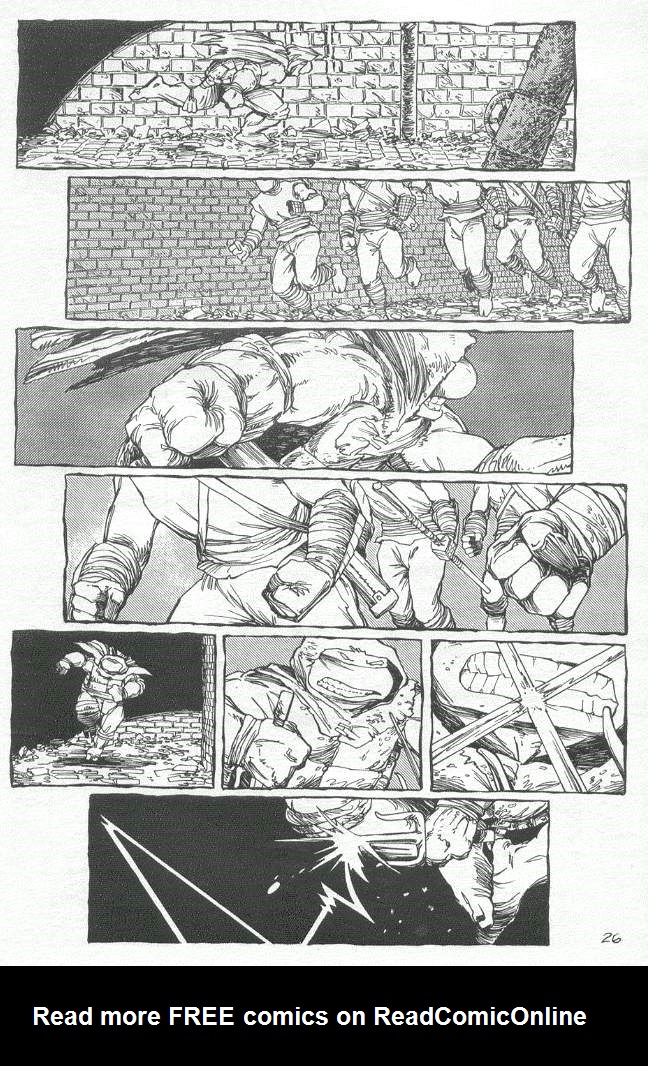 Read online Teenage Mutant Ninja Turtles (1984) comic -  Issue #19 - 27