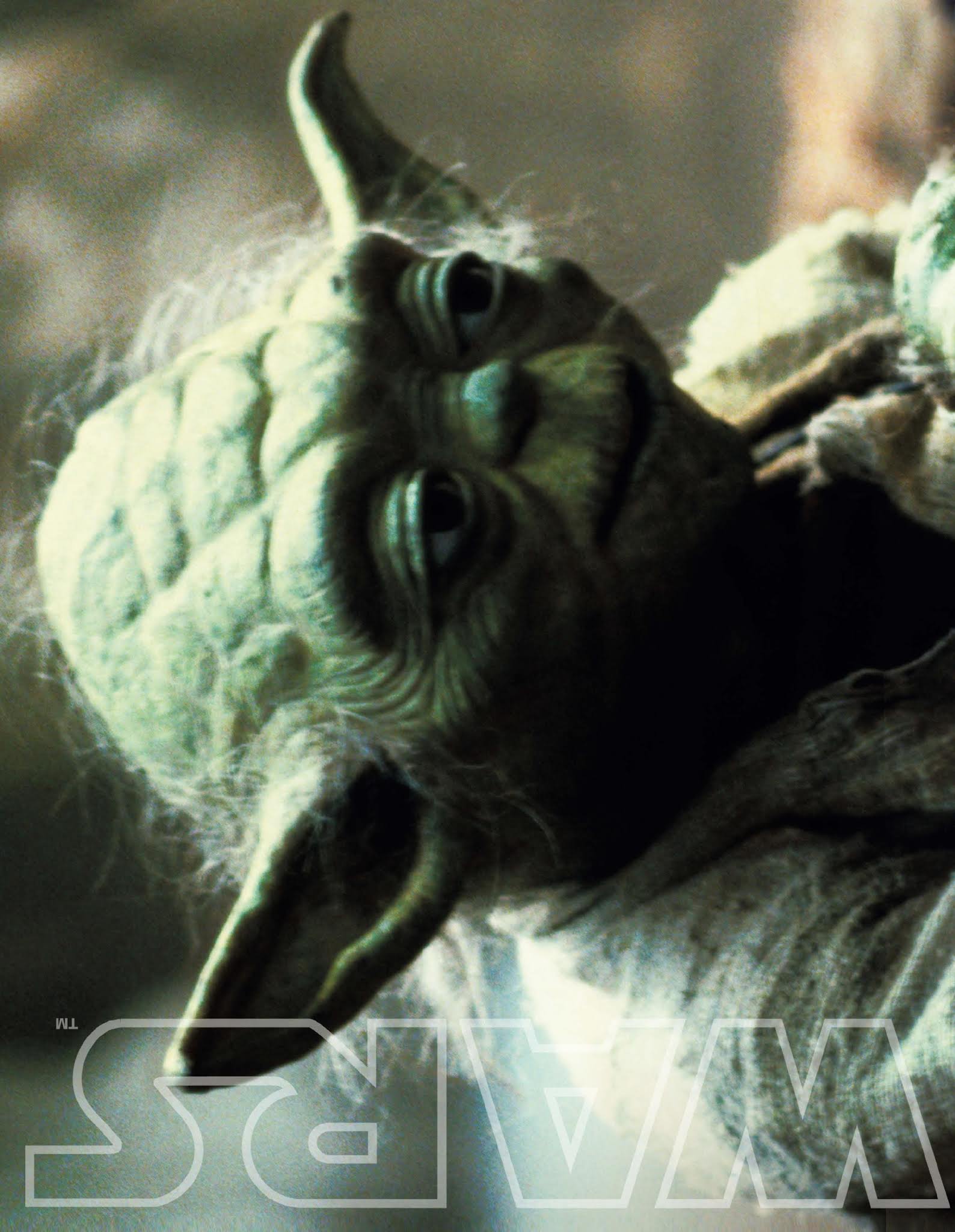 Read online Star Wars Jedi Master Magazine comic -  Issue #5 - 24