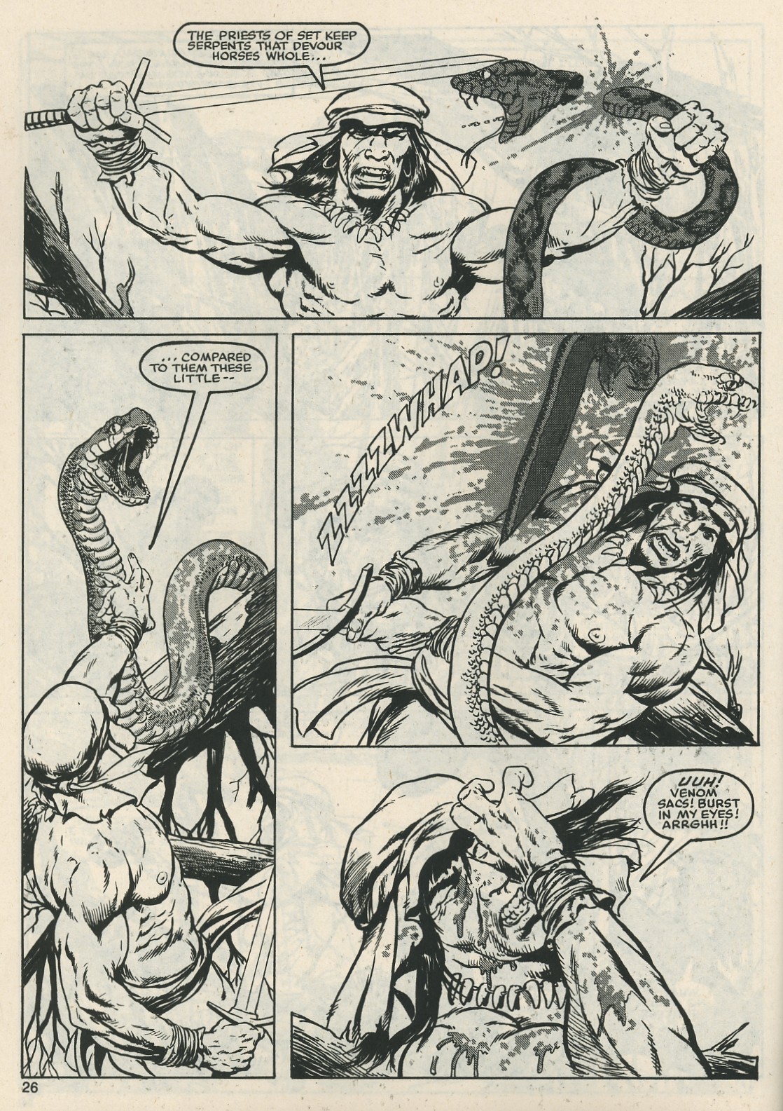 Read online The Savage Sword Of Conan comic -  Issue #117 - 24