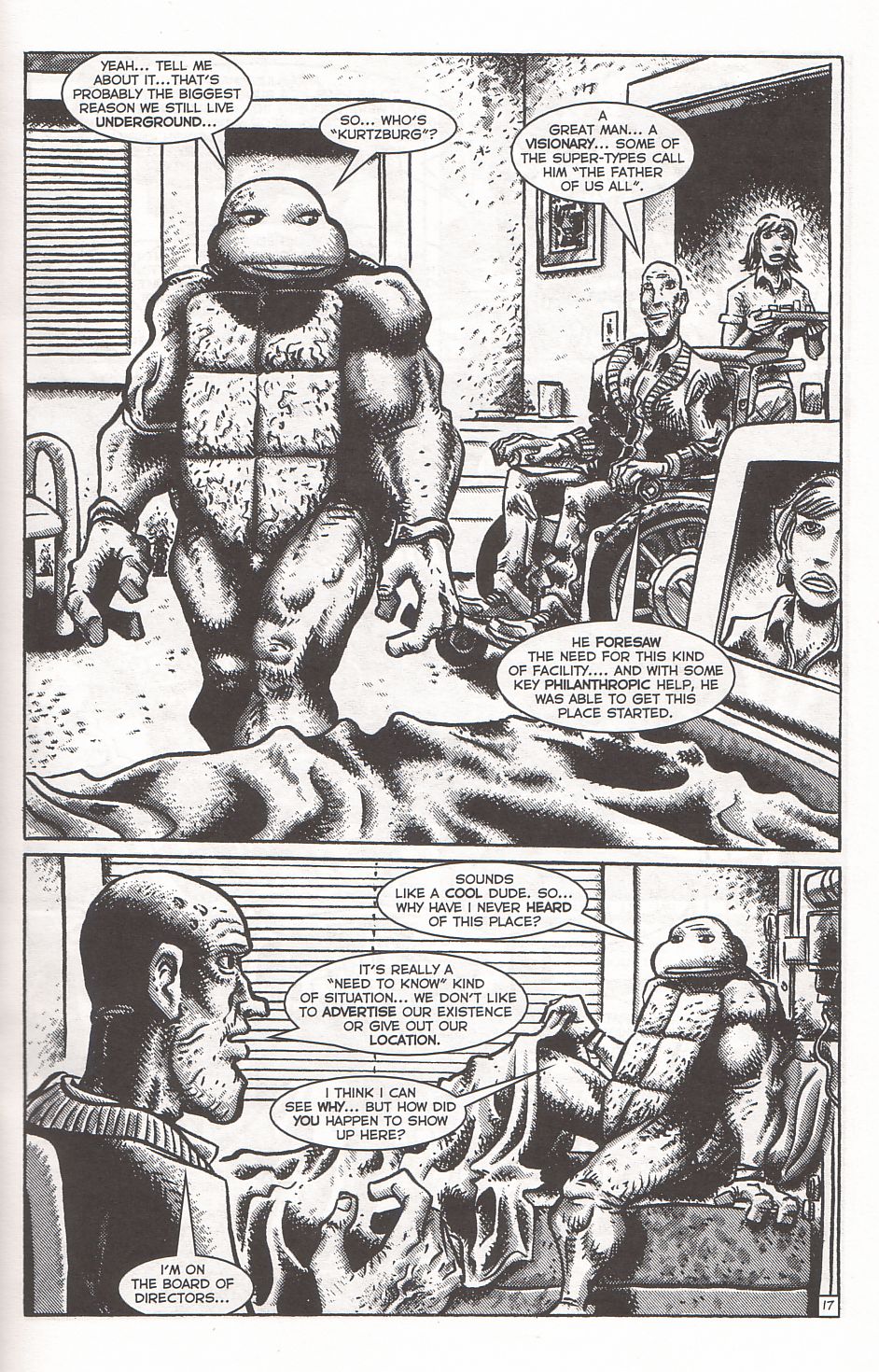 TMNT: Teenage Mutant Ninja Turtles issue 2 - Page 20