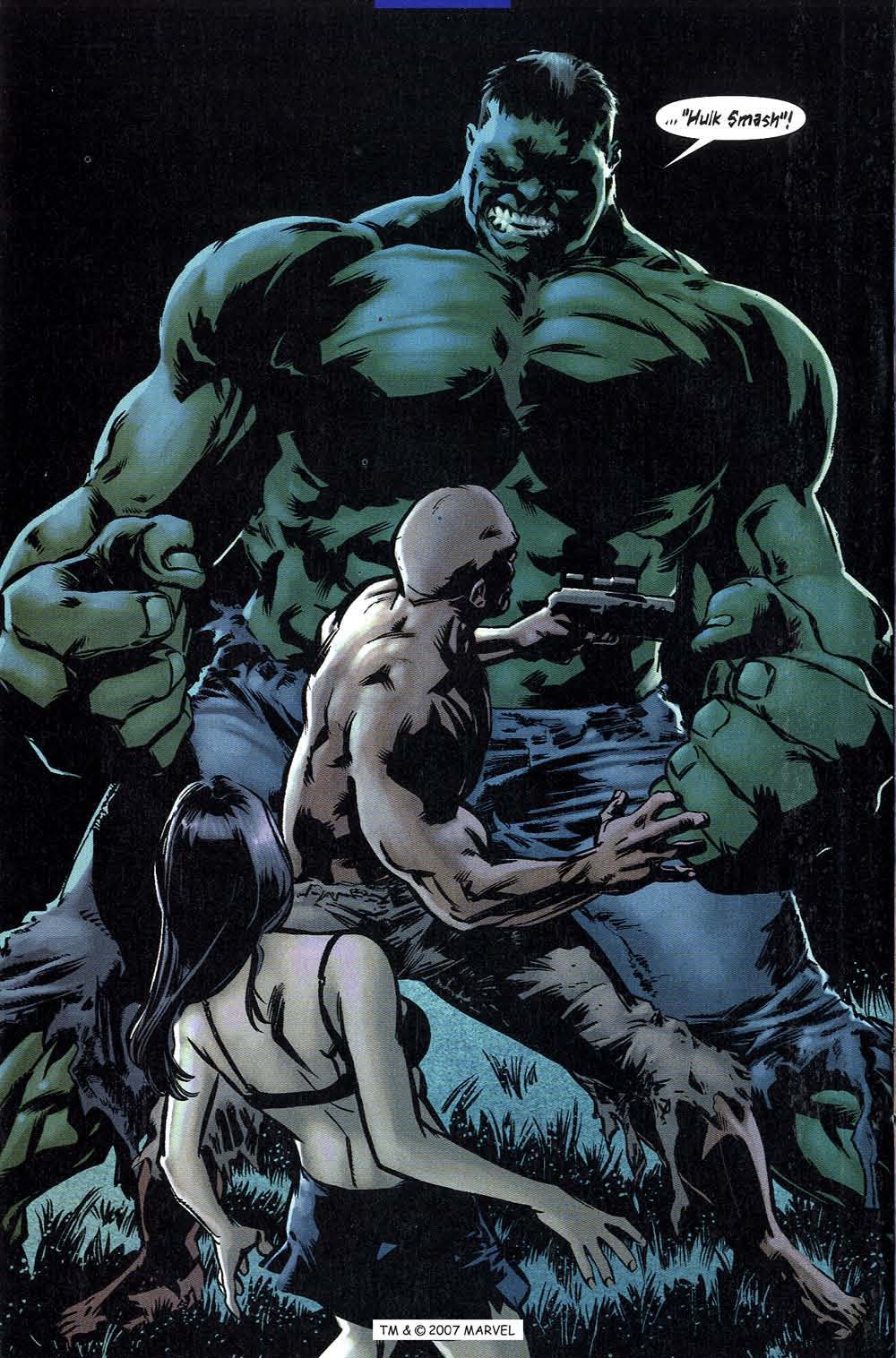 The Incredible Hulk (2000) Issue #49 #38 - English 22