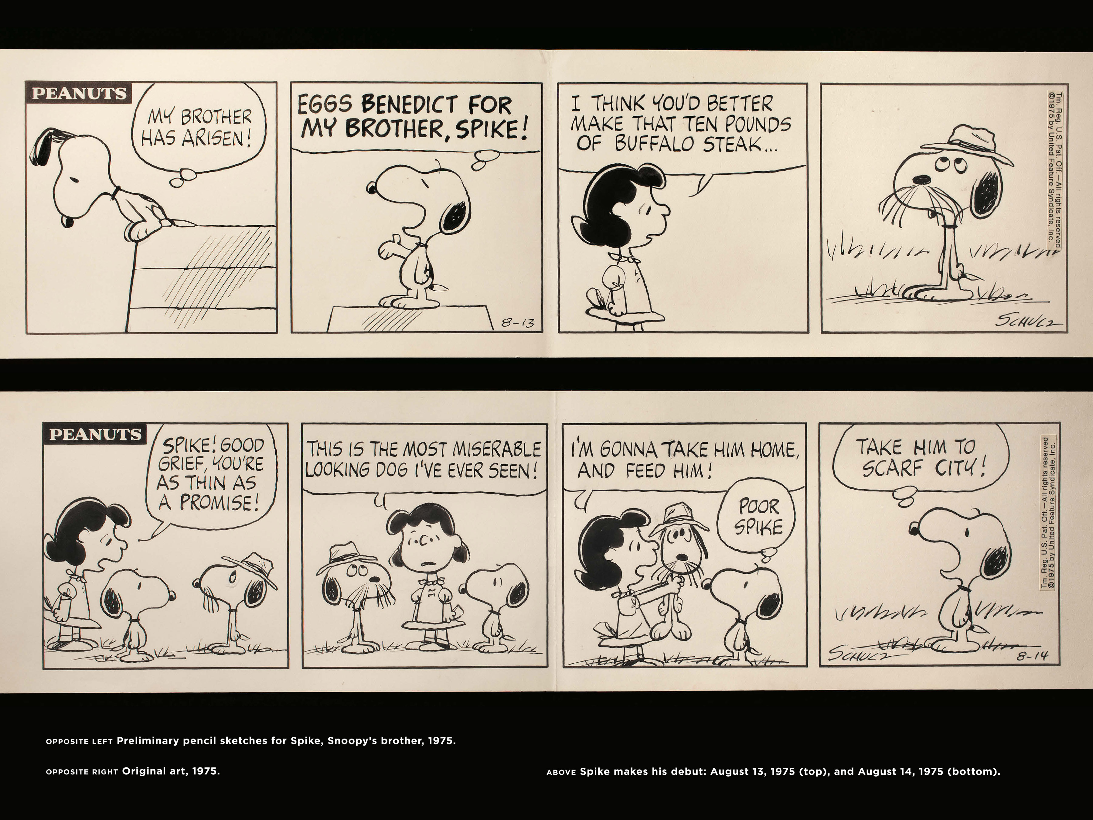 Read online Only What's Necessary: Charles M. Schulz and the Art of Peanuts comic -  Issue # TPB (Part 3) - 28