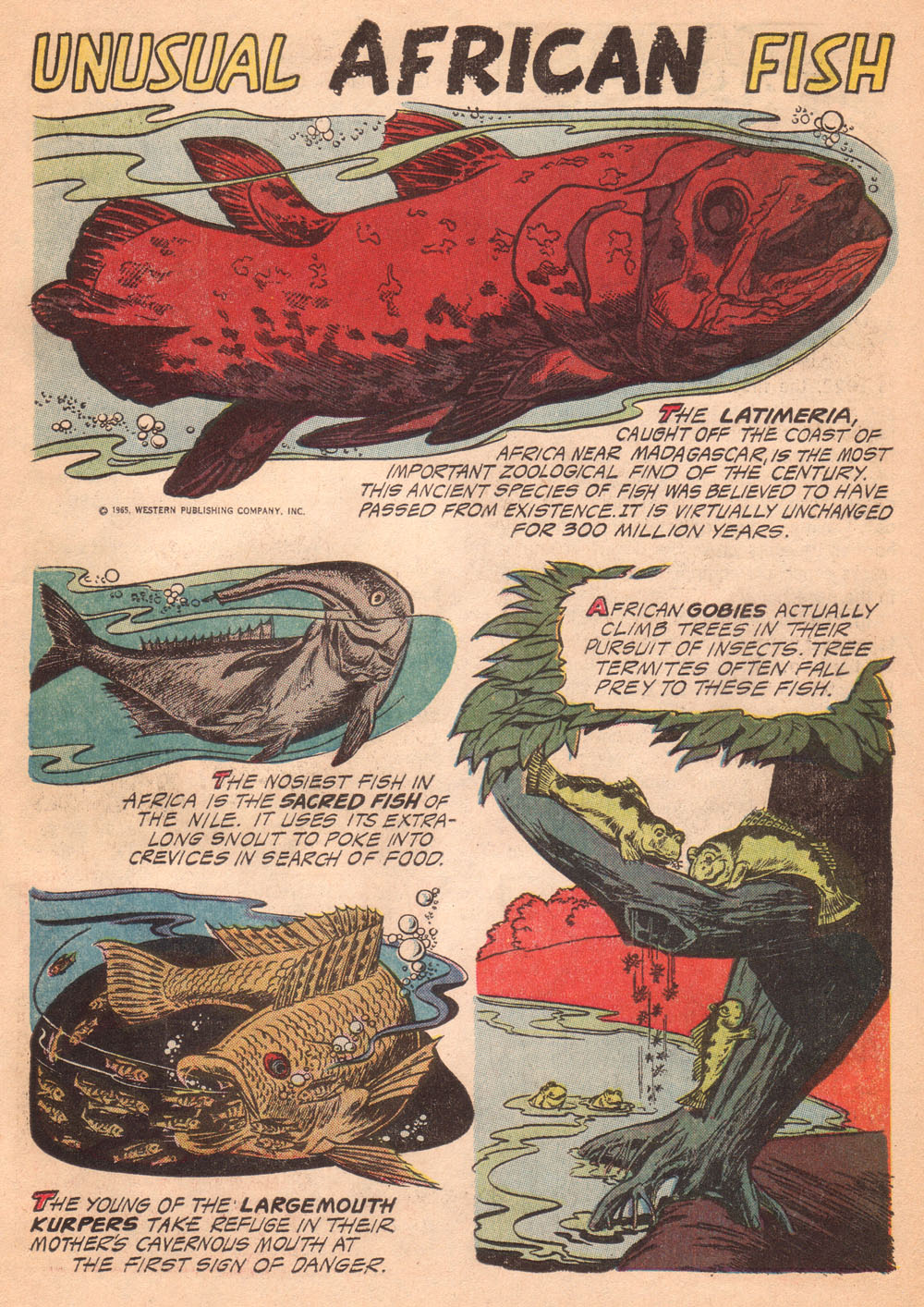 Read online Korak, Son of Tarzan (1964) comic -  Issue #9 - 27