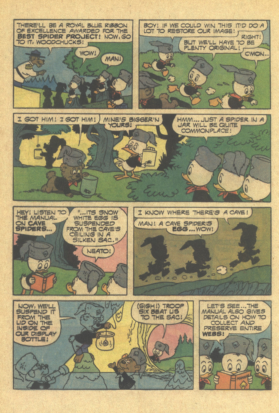 Read online Huey, Dewey, and Louie Junior Woodchucks comic -  Issue #15 - 28