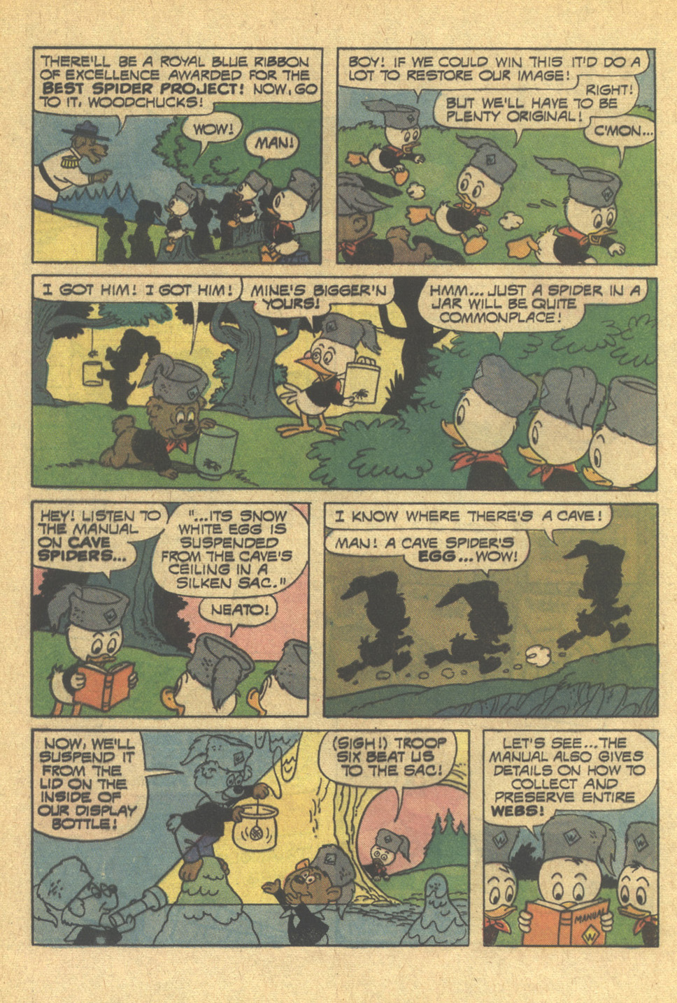 Huey, Dewey, and Louie Junior Woodchucks issue 15 - Page 28