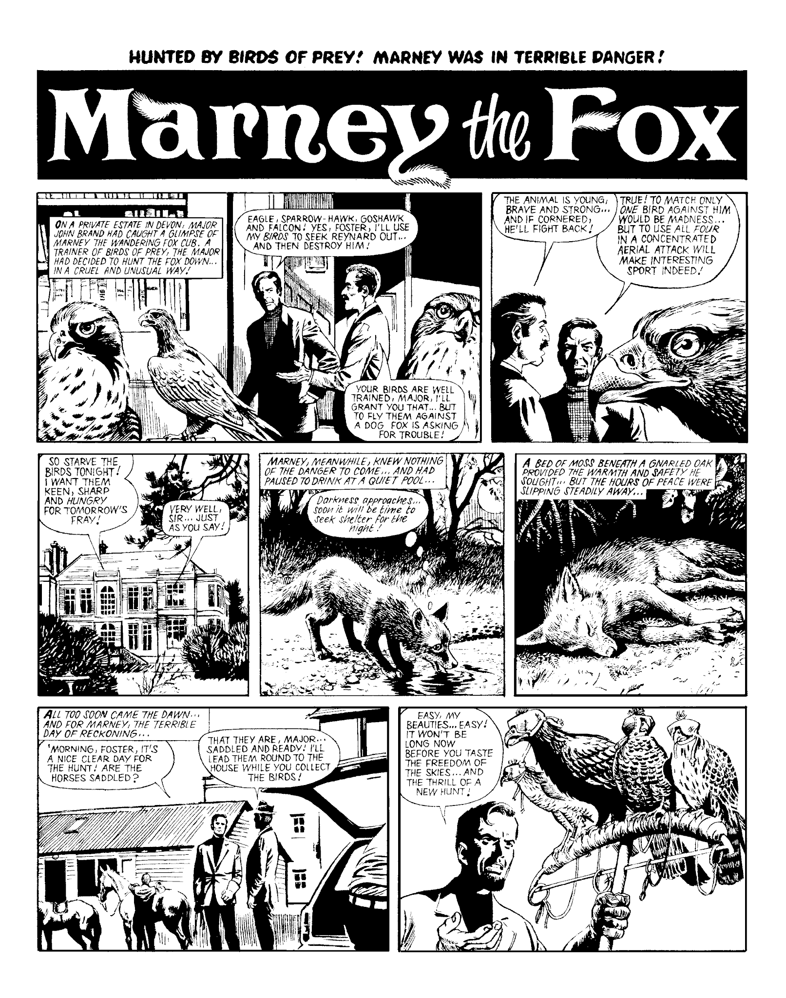 Read online Marney the Fox comic -  Issue # TPB (Part 2) - 18