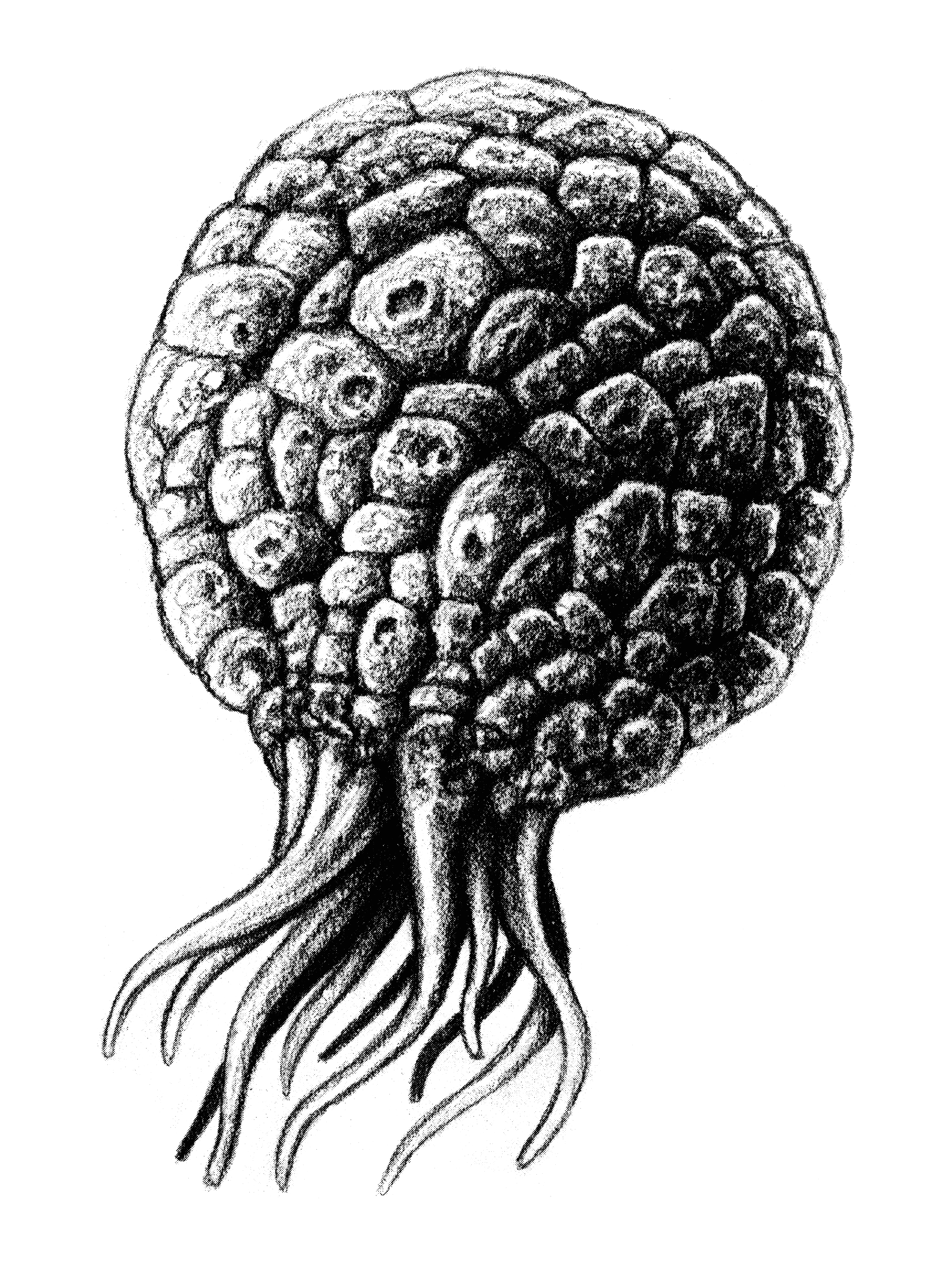 Read online Free S**t comic -  Issue # TPB (Part 2) - 77