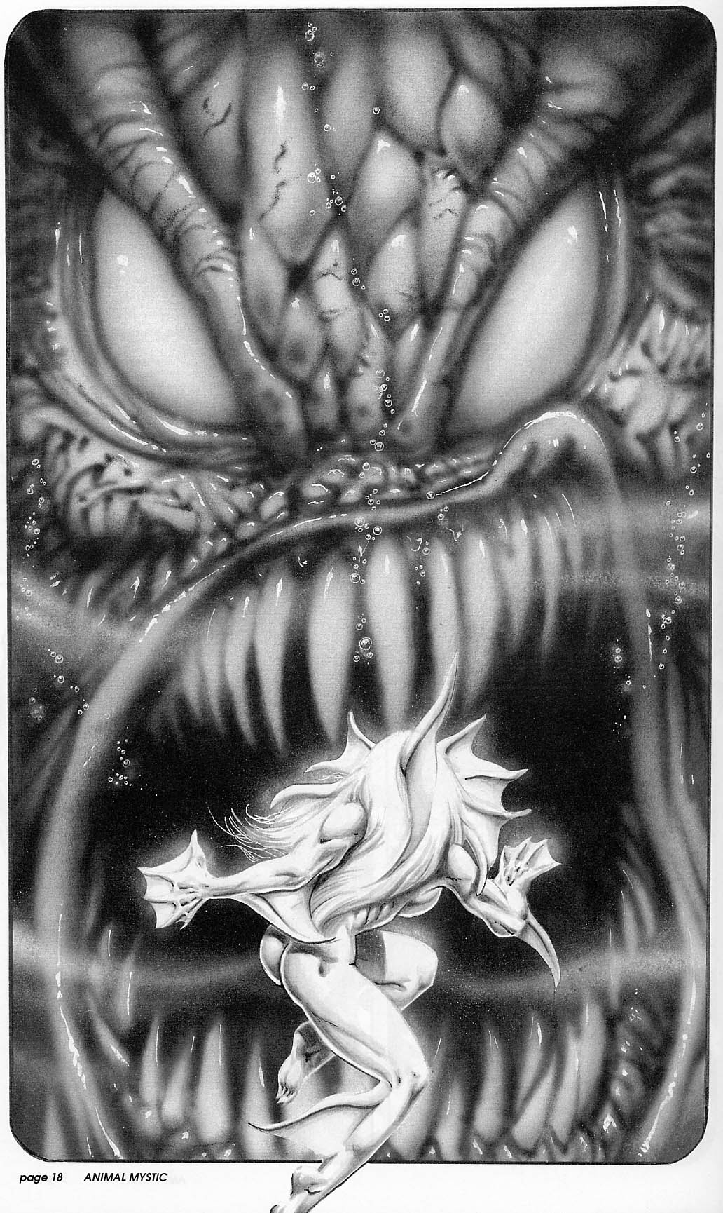 Read online Animal Mystic comic -  Issue #1 - 24