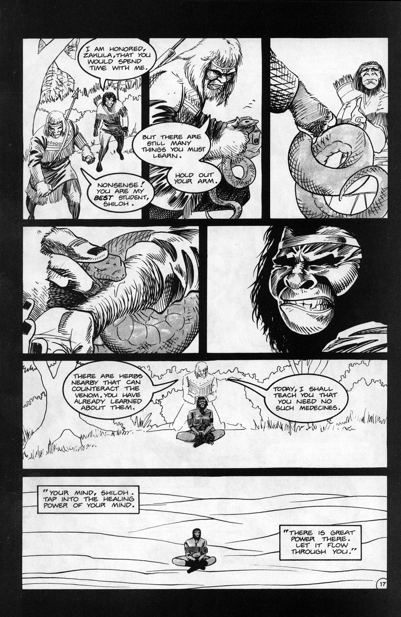 Read online Planet of the Apes (1990) comic -  Issue #20 - 19