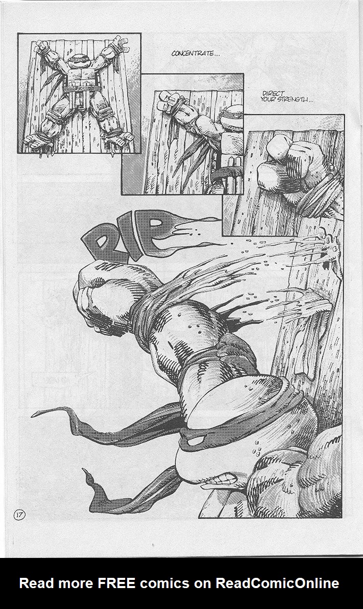 Tales of the Teenage Mutant Ninja Turtles issue 4 - Page 20