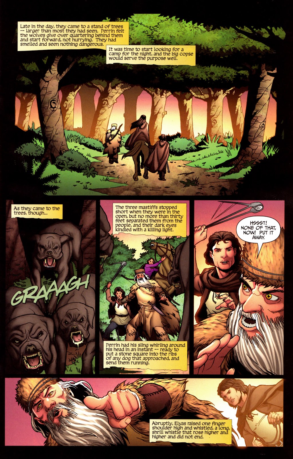Robert Jordan's Wheel of Time: The Eye of the World issue 17 - Page 15