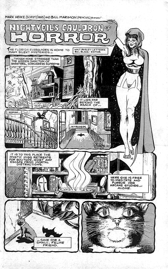 Read online Nightveil's Cauldron of Horror comic -  Issue #2 - 3