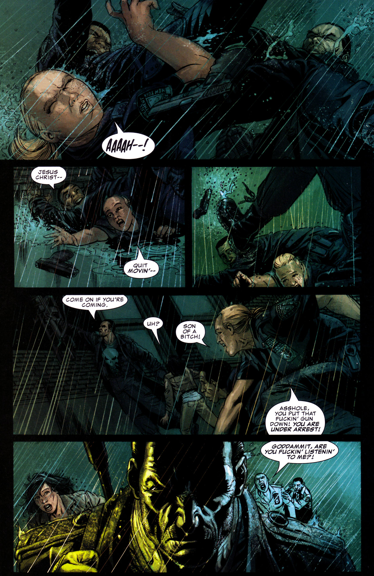 The Punisher (2004) Issue #25 #25 - English 13