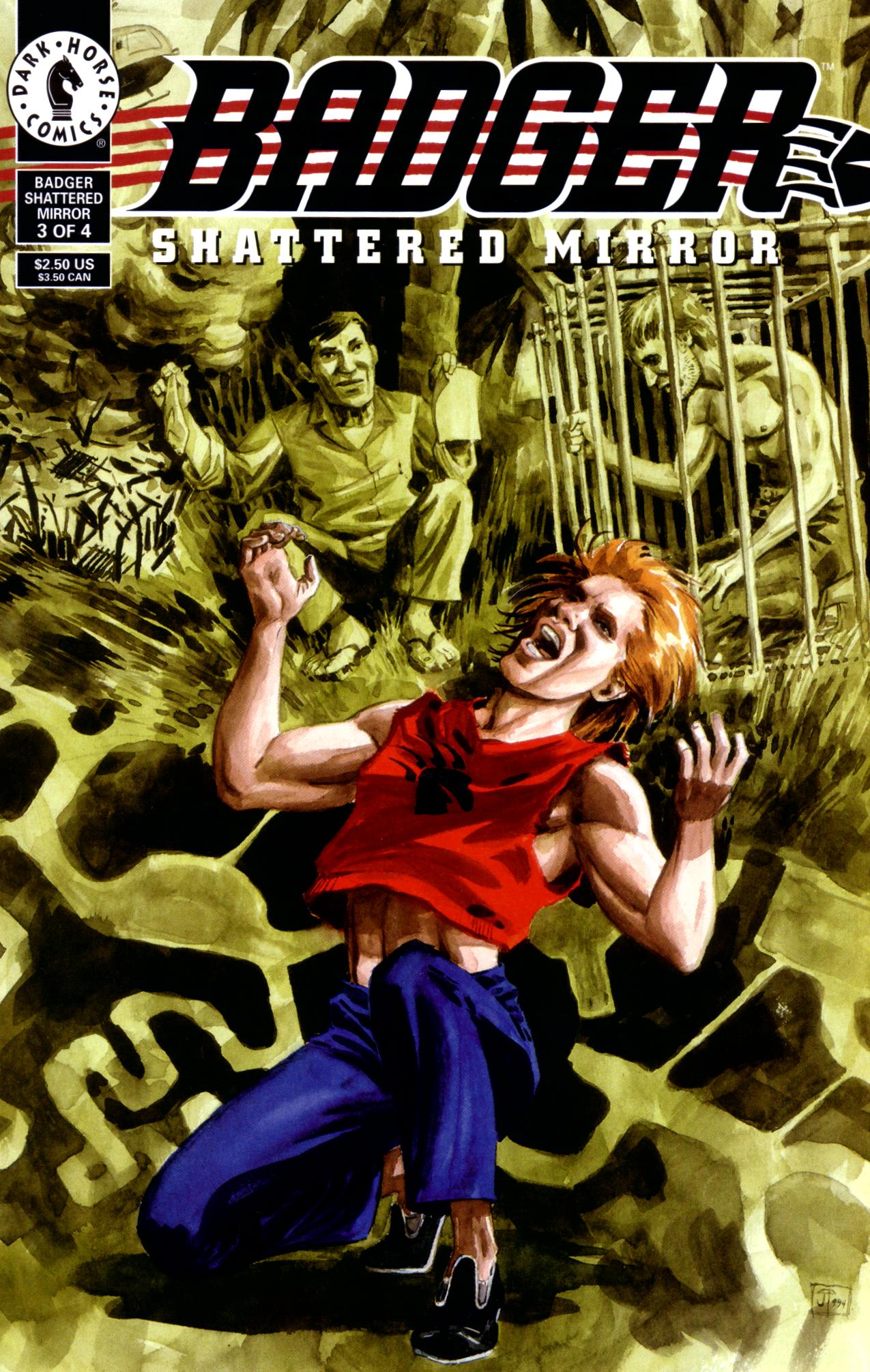 Read online Badger: Shattered Mirror comic -  Issue #3 - 1