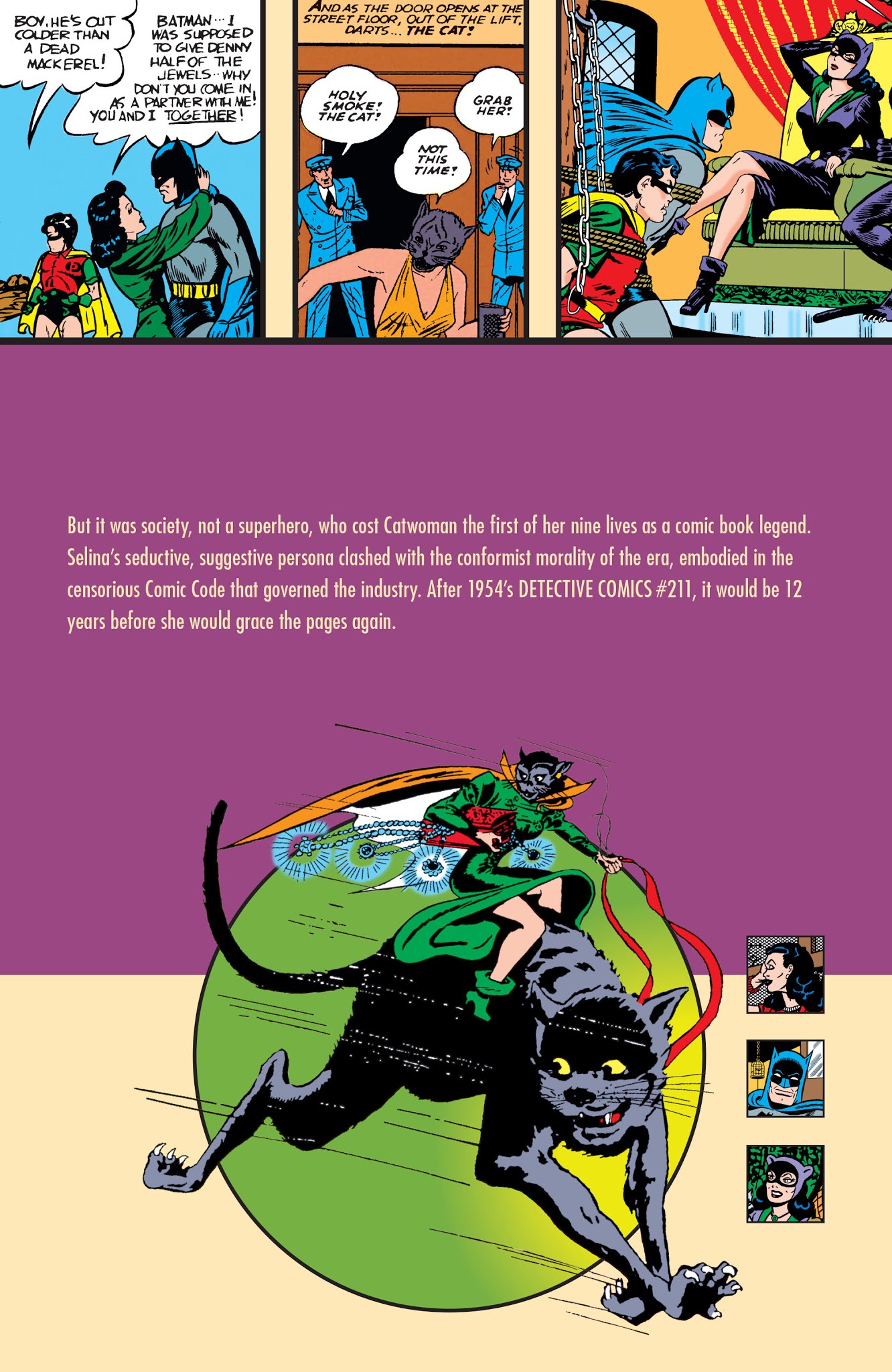 Read online Catwoman: A Celebration of 75 Years comic -  Issue # TPB (Part 1) - 9