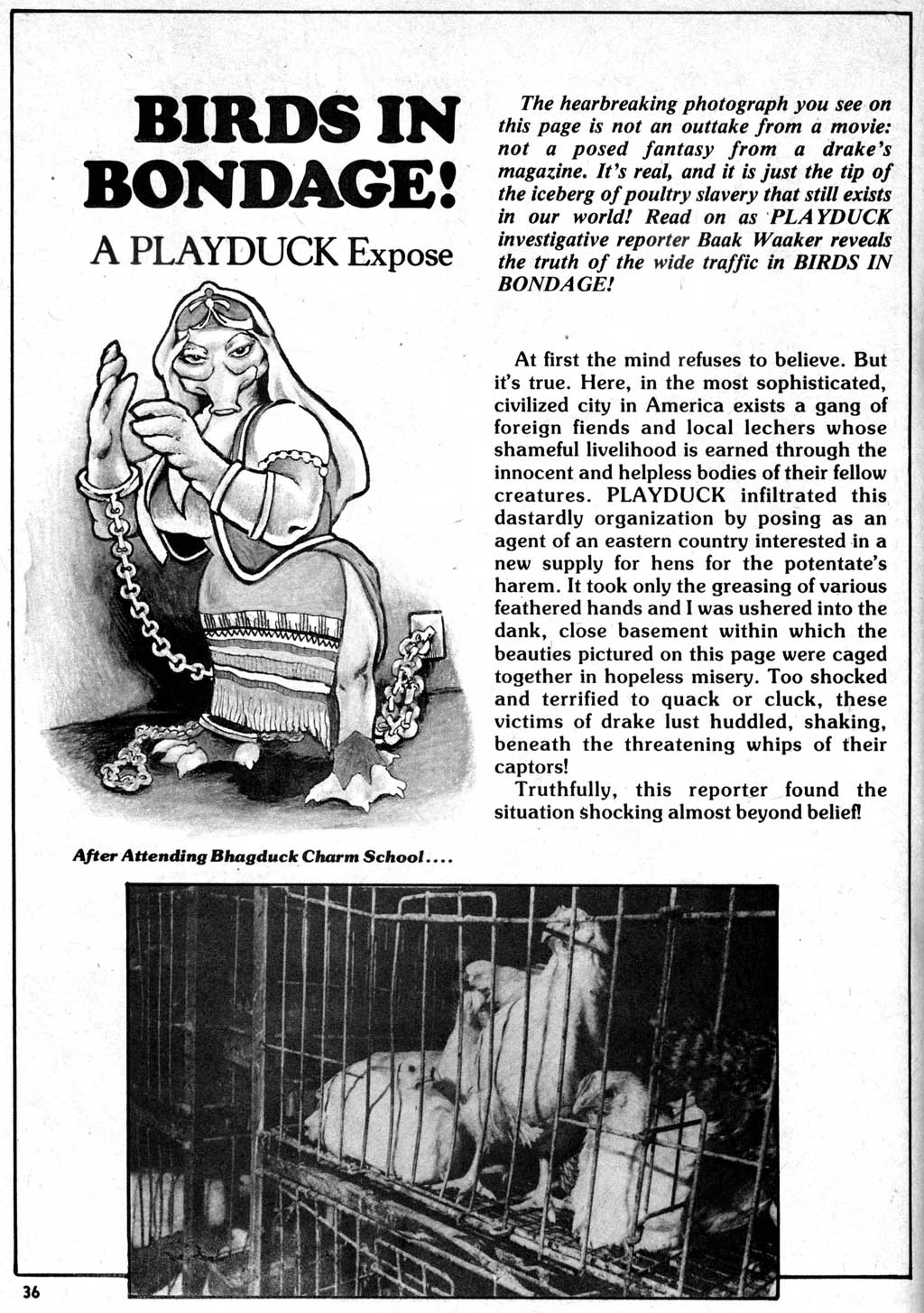 Read online Howard the Duck (1979) comic -  Issue #4 - 33