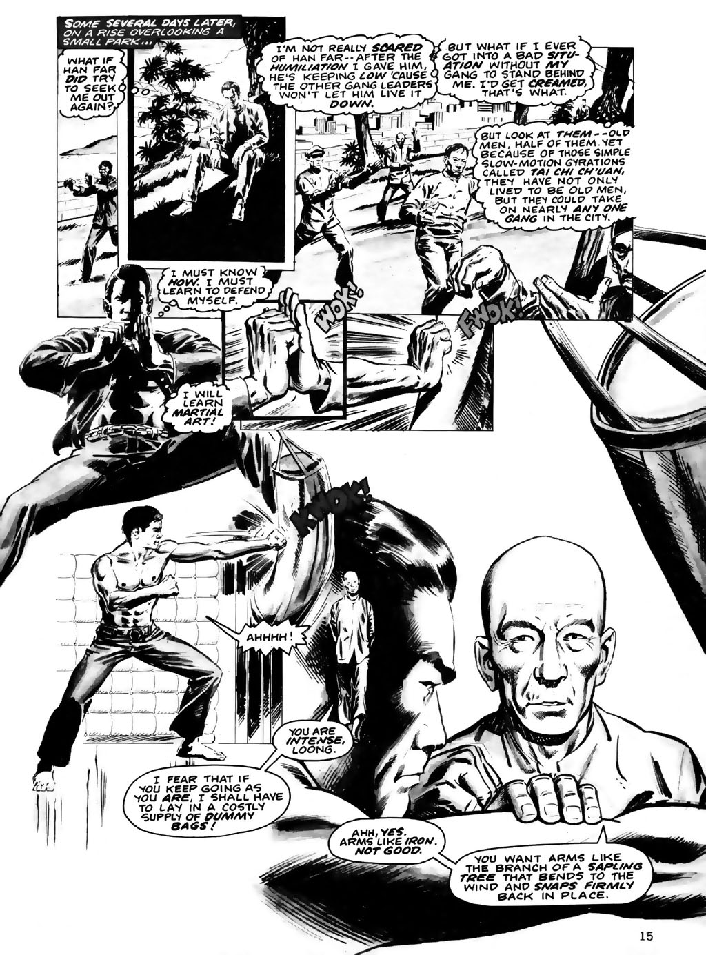 Read online The Deadly Hands of Kung Fu comic -  Issue #28 - 15