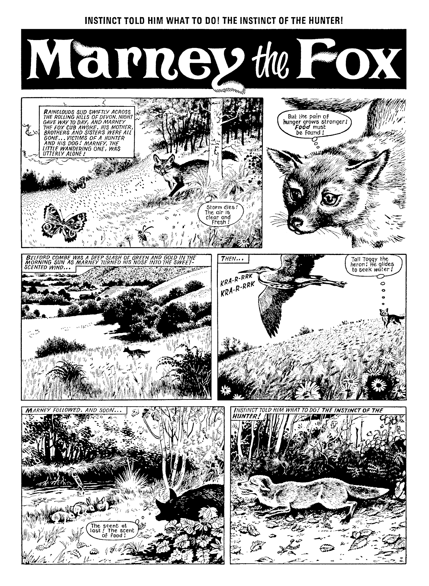 Read online Marney the Fox comic -  Issue # TPB (Part 1) - 7